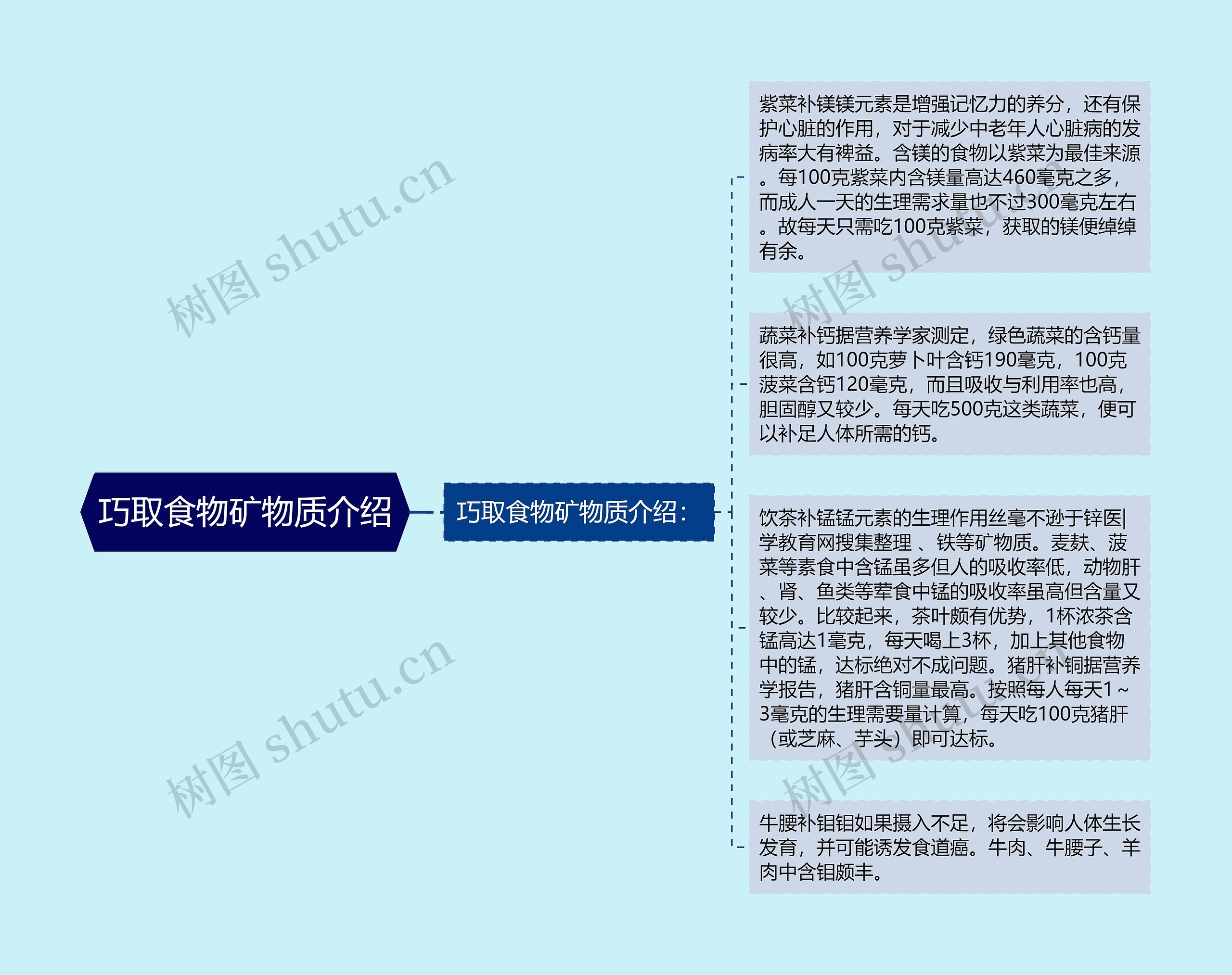 巧取食物矿物质介绍思维导图