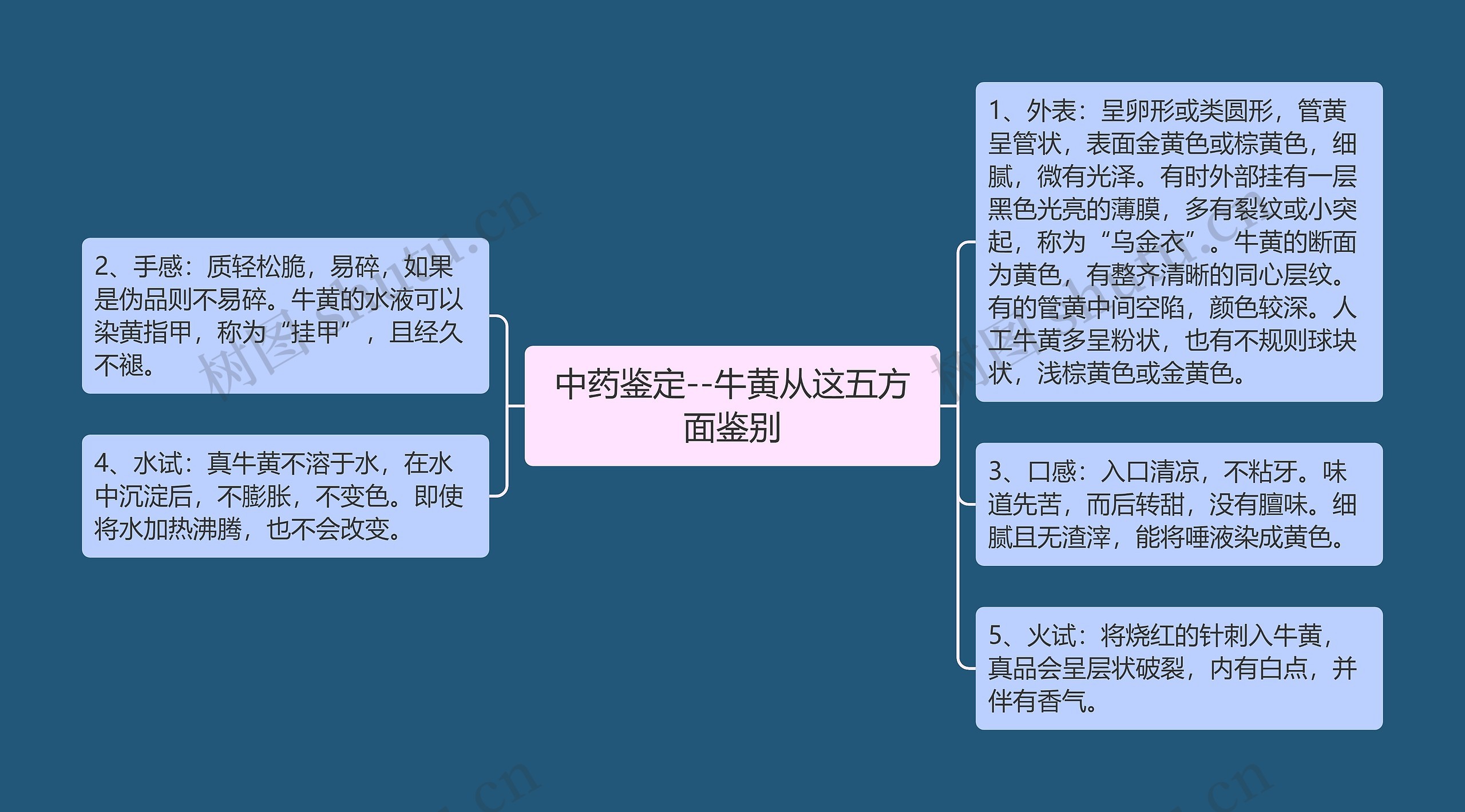 中药鉴定--牛黄从这五方面鉴别思维导图