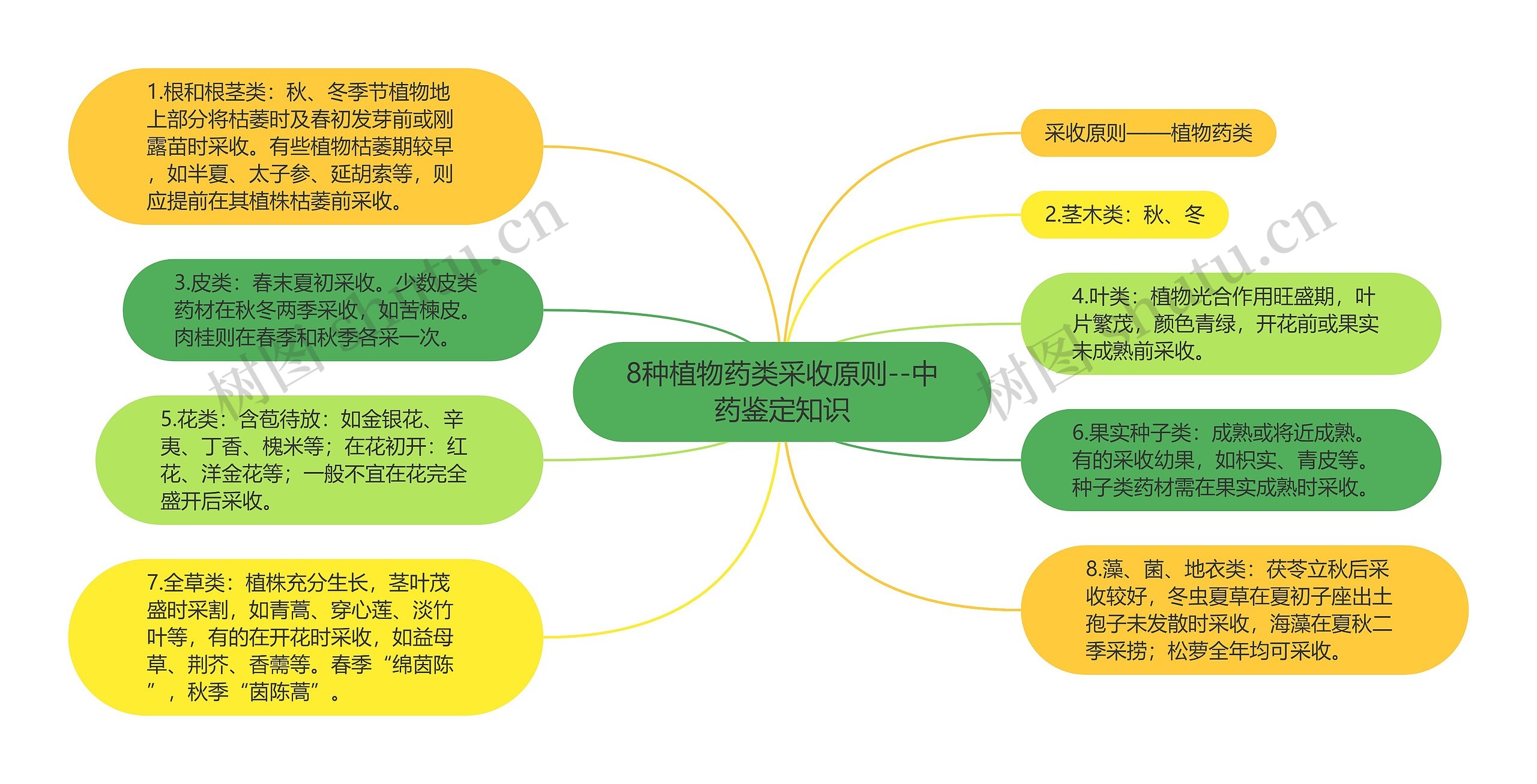 8种植物药类采收原则--中药鉴定知识