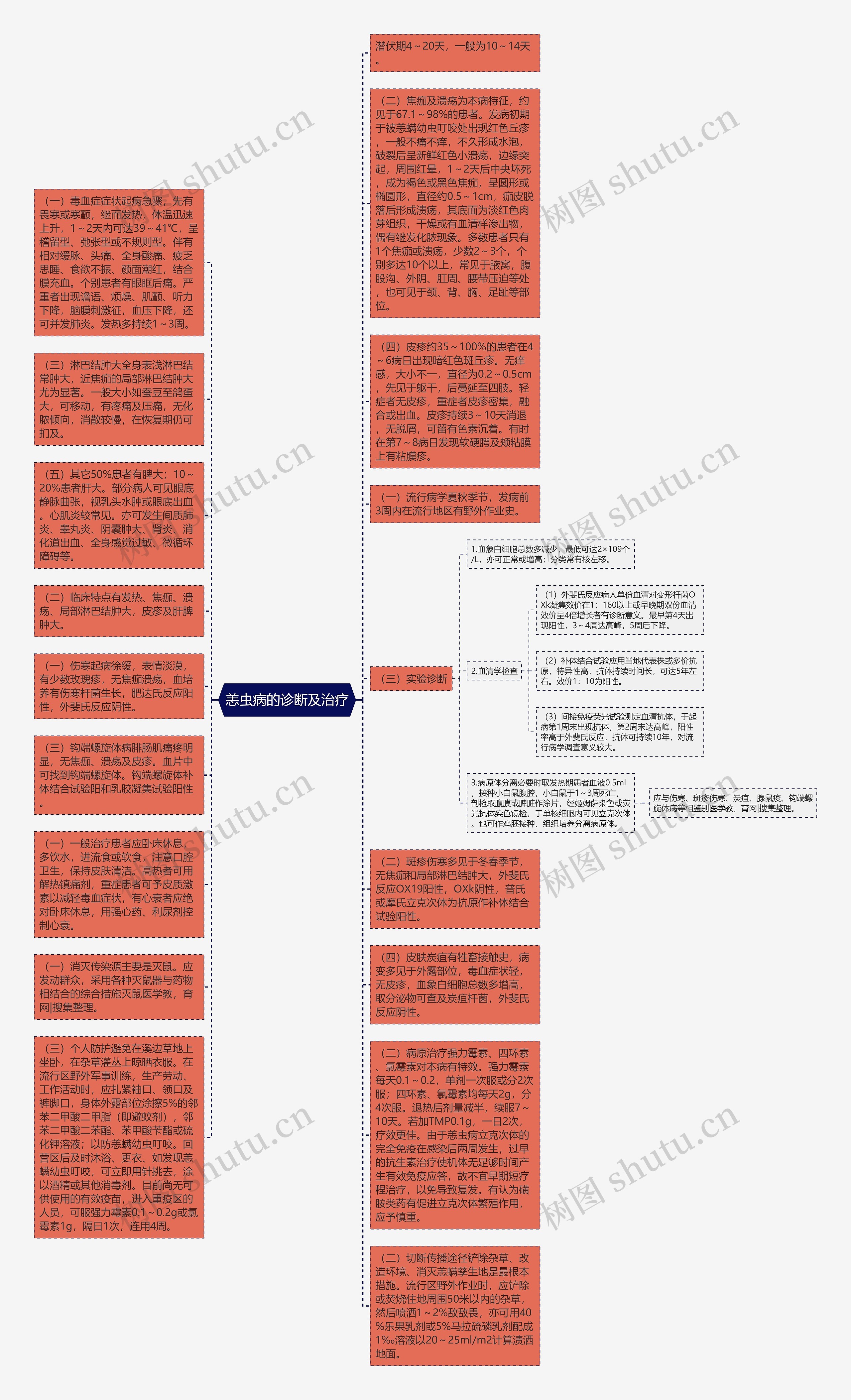 恙虫病的诊断及治疗思维导图