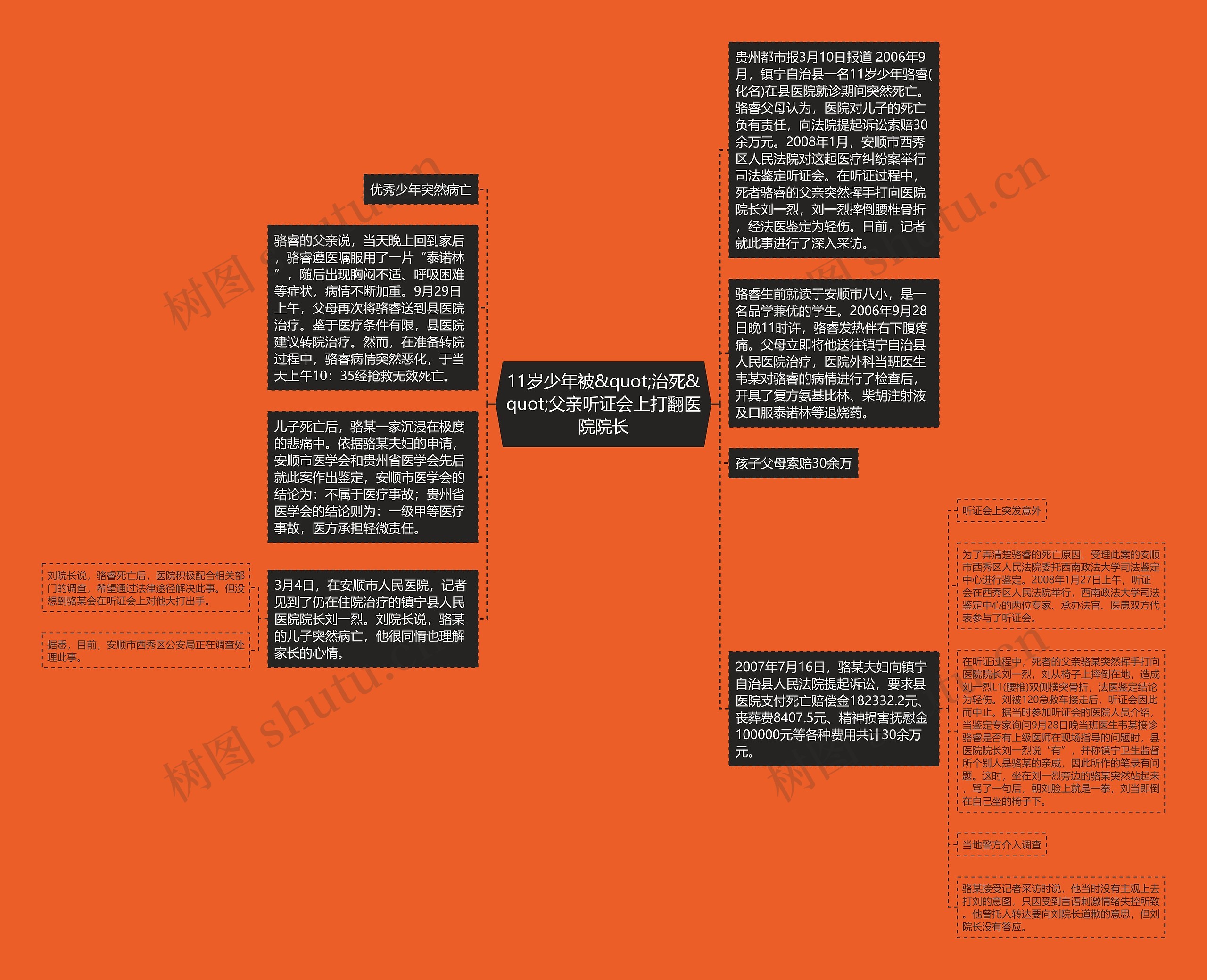11岁少年被&quot;治死&quot;父亲听证会上打翻医院院长思维导图