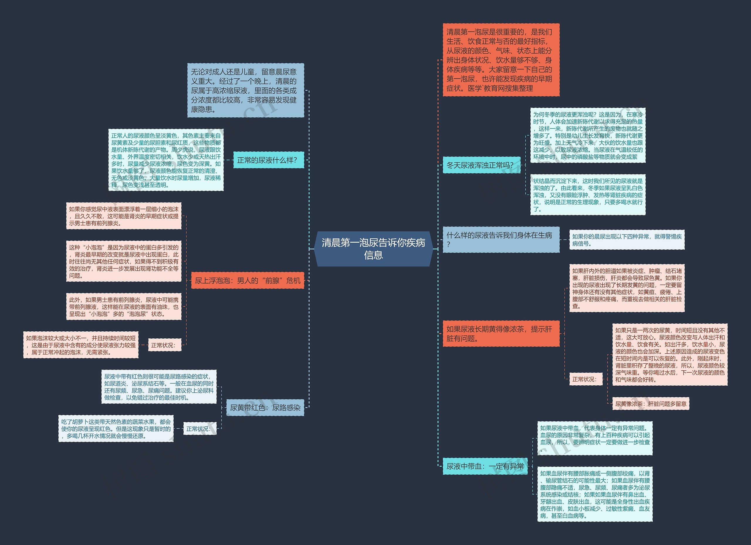清晨第一泡尿告诉你疾病信息思维导图