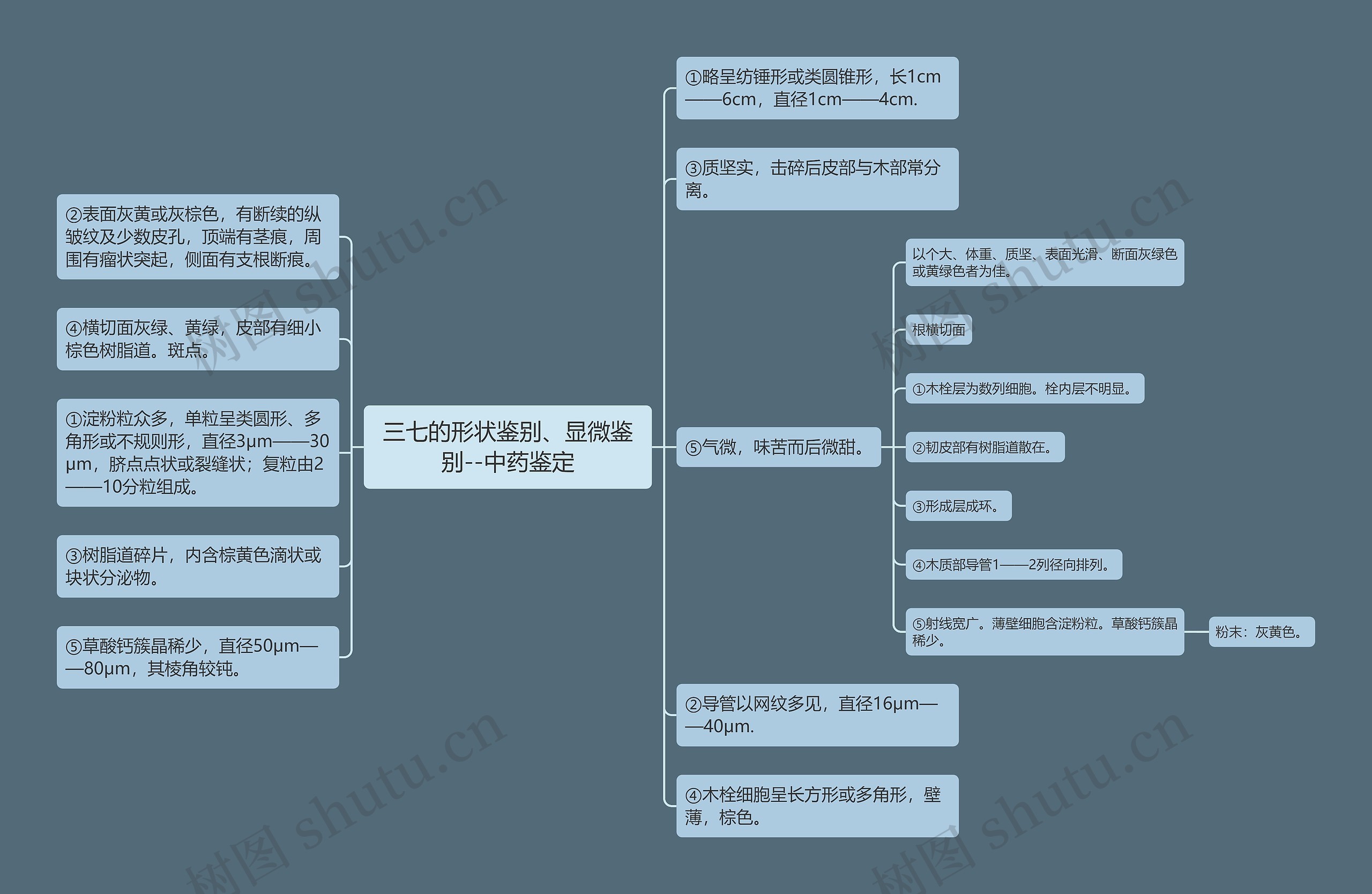 三七的形状鉴别、显微鉴别--中药鉴定思维导图