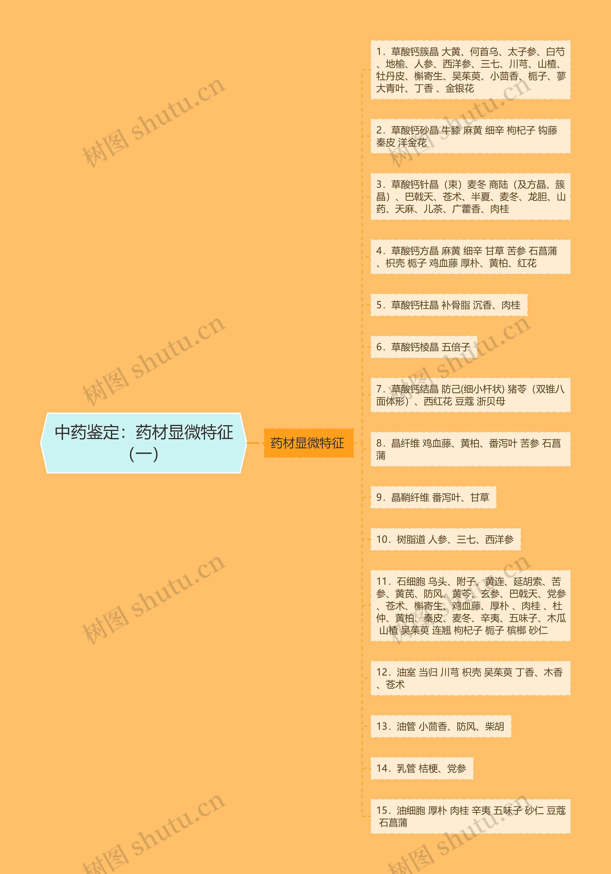 中药鉴定：药材显微特征（一）思维导图