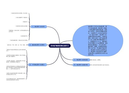 含有矿物质的维生素B12