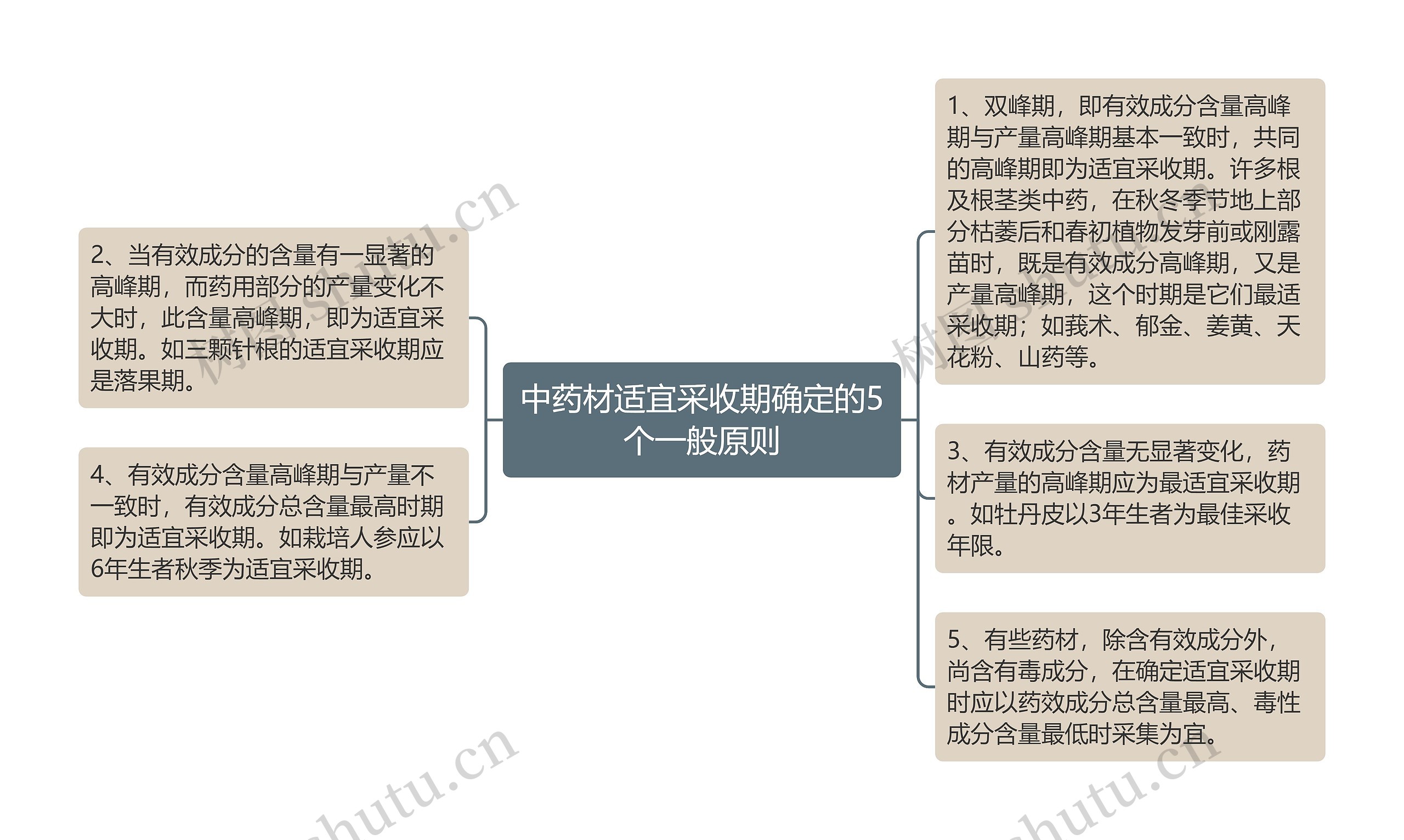 中药材适宜采收期确定的5个一般原则