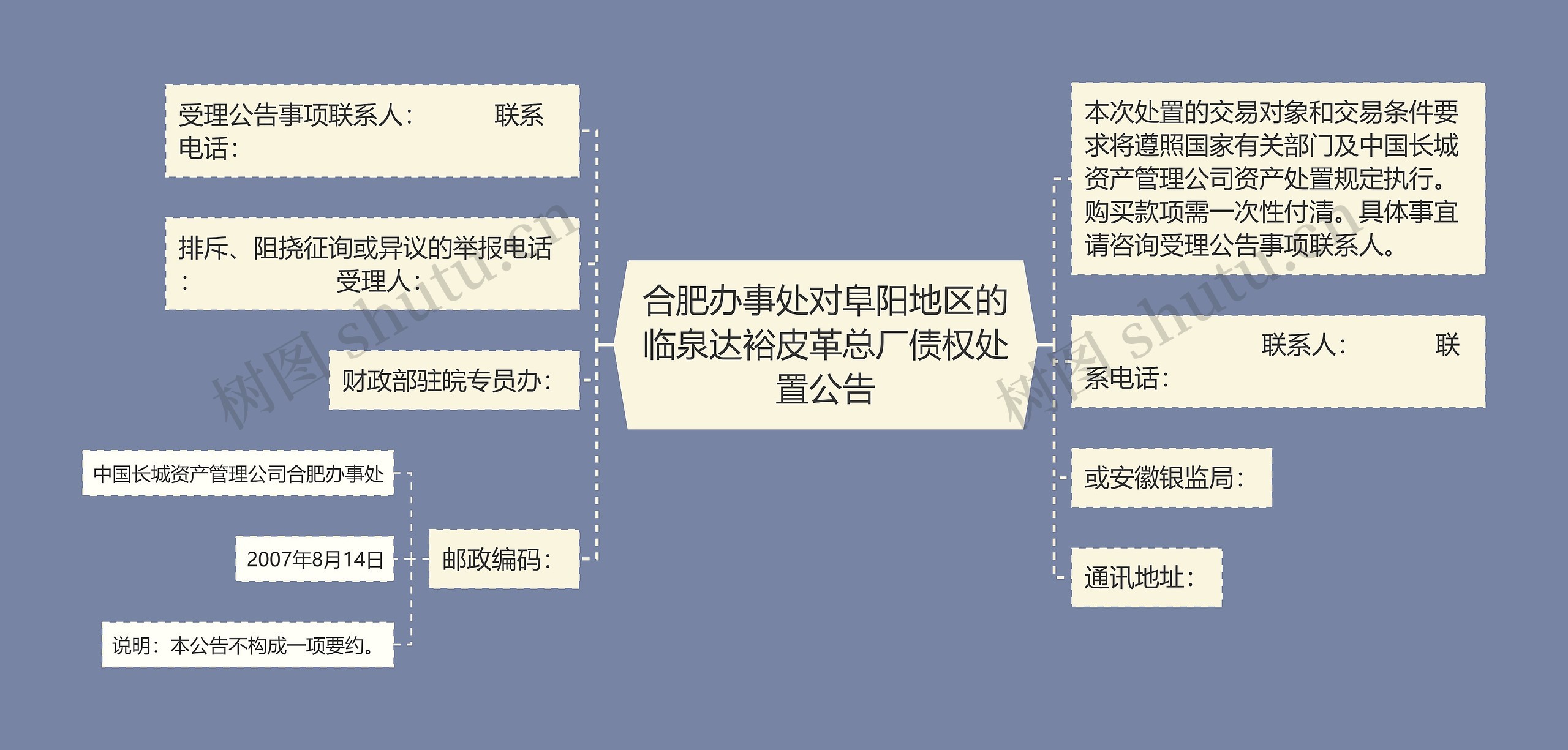 合肥办事处对阜阳地区的临泉达裕皮革总厂债权处置公告思维导图