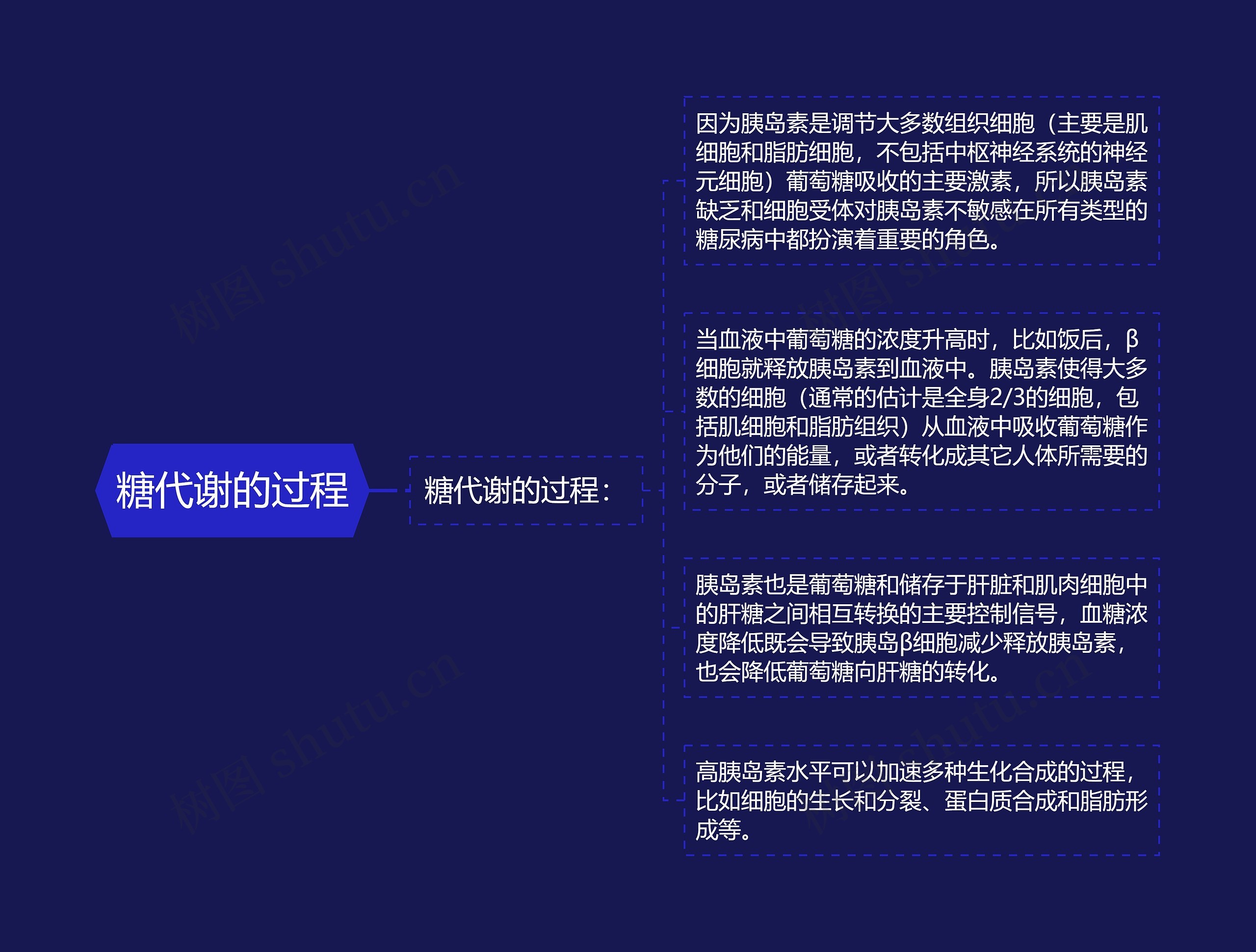 糖代谢的过程 糖代谢的过程