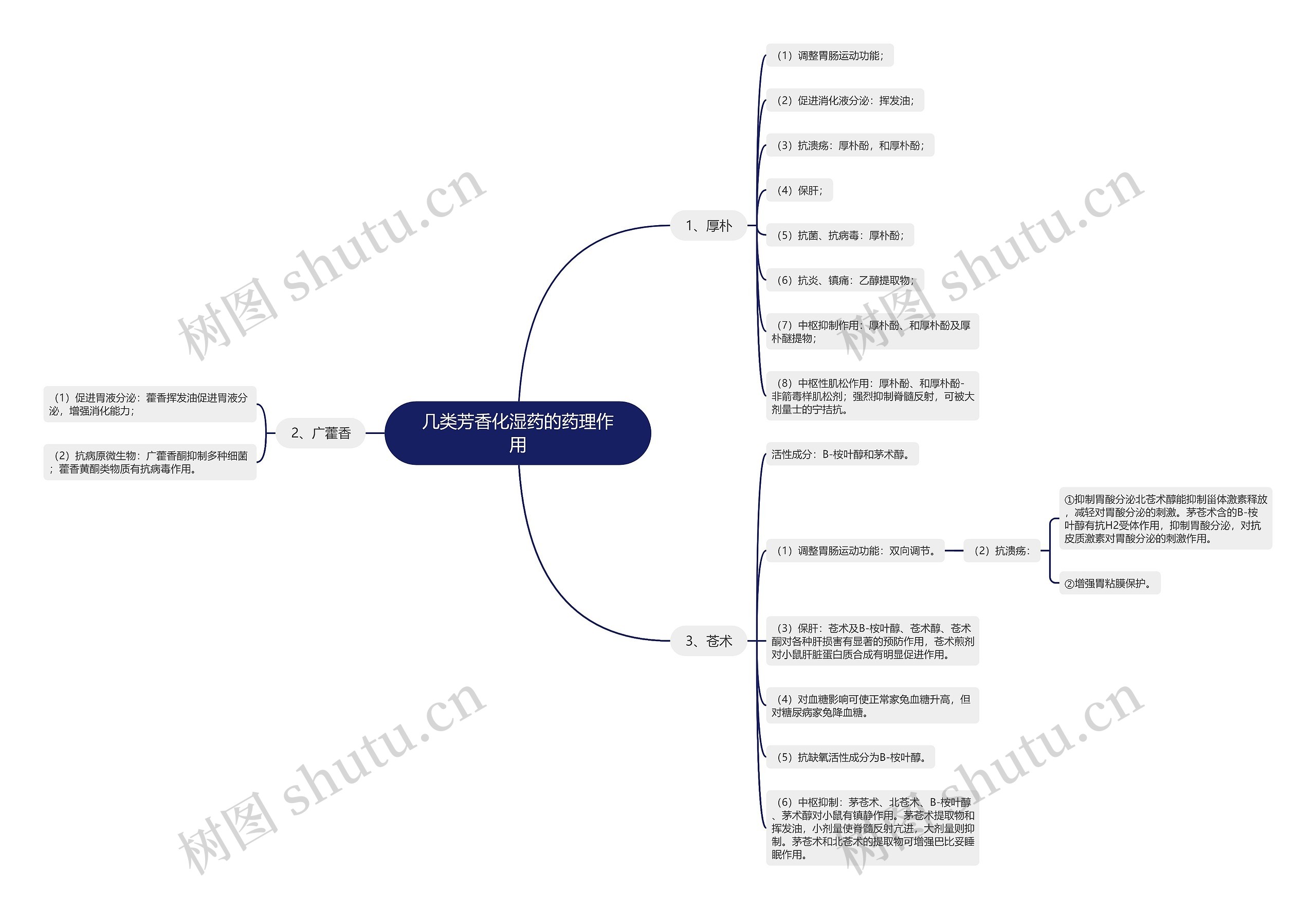 几类芳香化湿药的药理作用思维导图