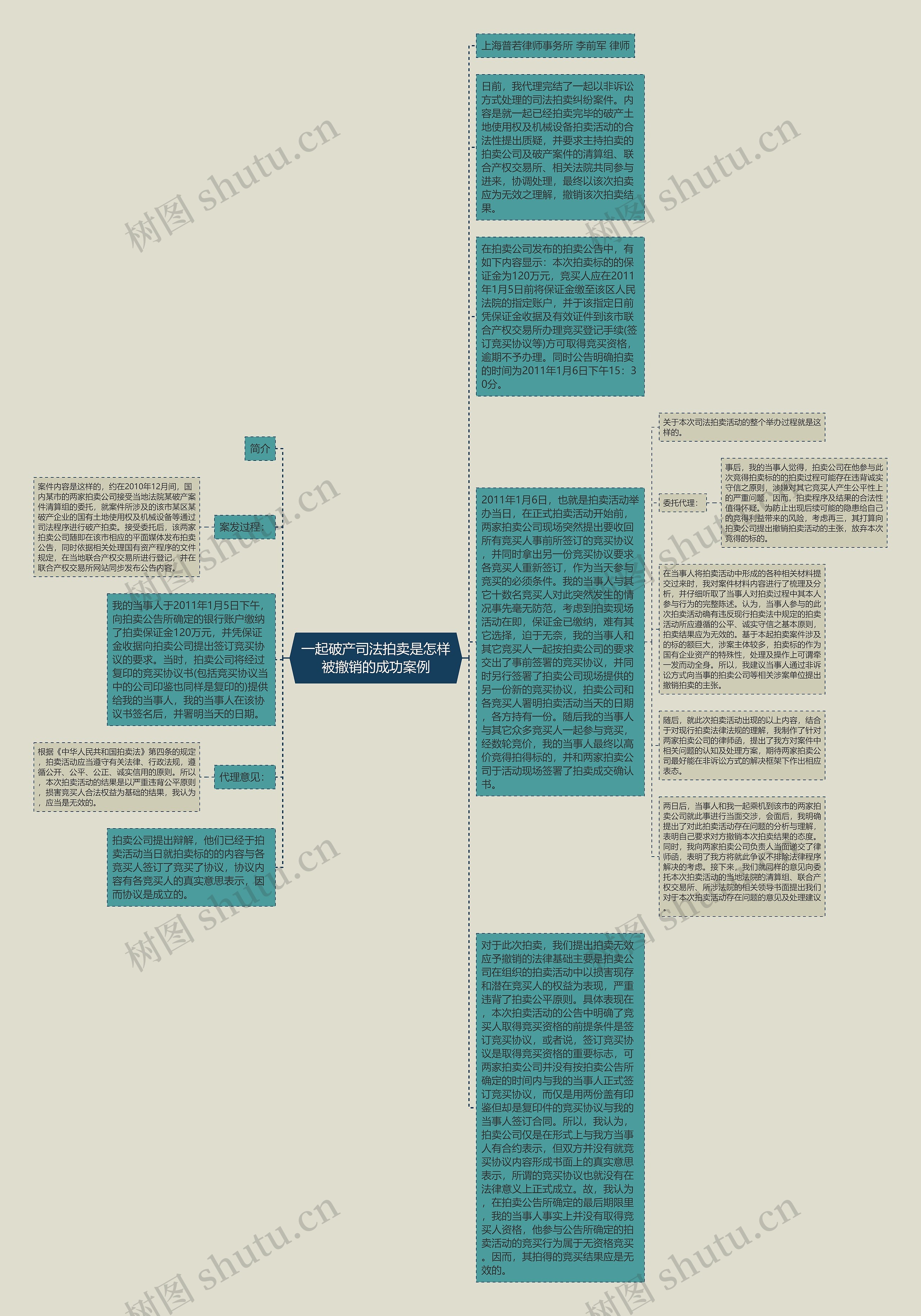 一起破产司法拍卖是怎样被撤销的成功案例思维导图