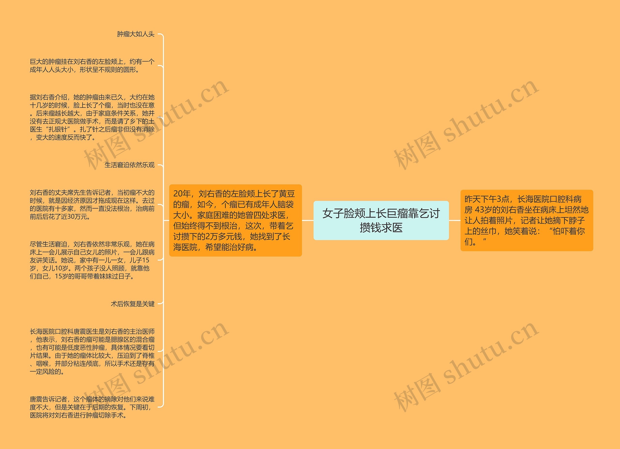 女子脸颊上长巨瘤靠乞讨攒钱求医思维导图