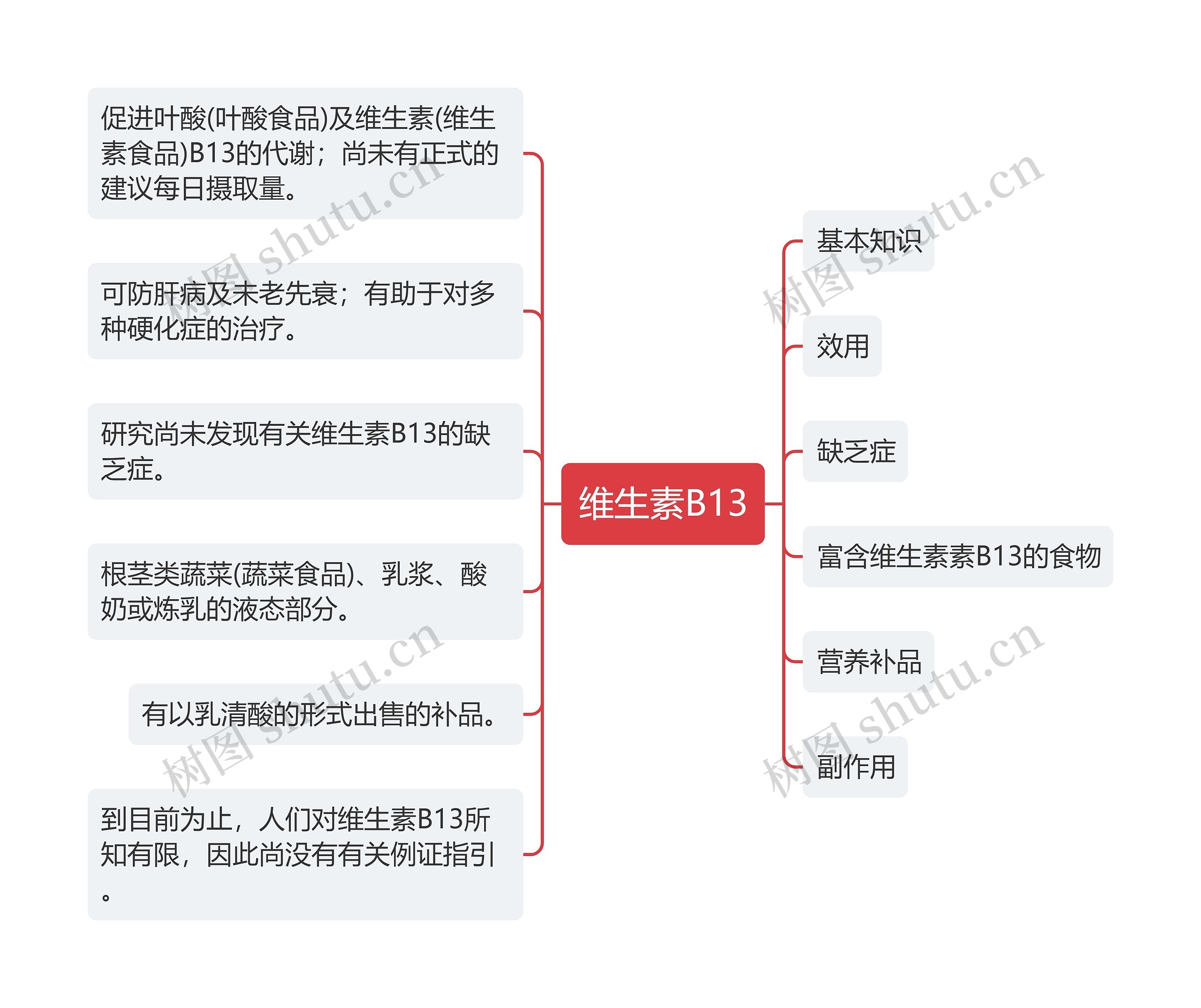 维生素B13思维导图