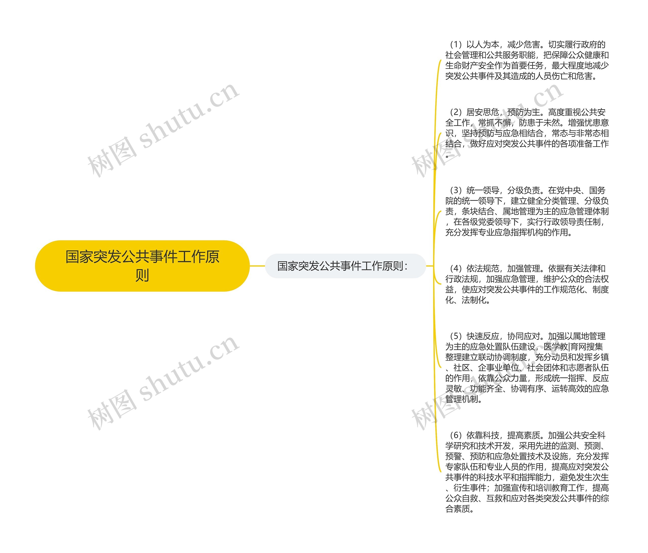 国家突发公共事件工作原则思维导图