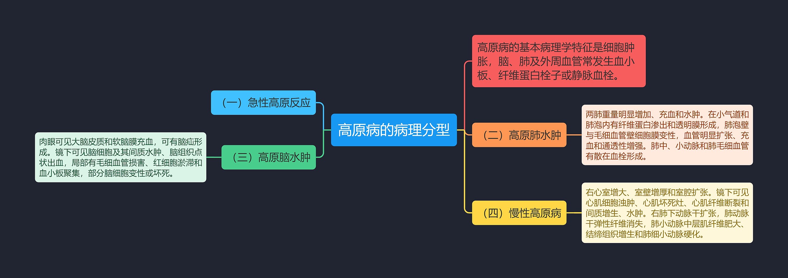 高原病的病理分型