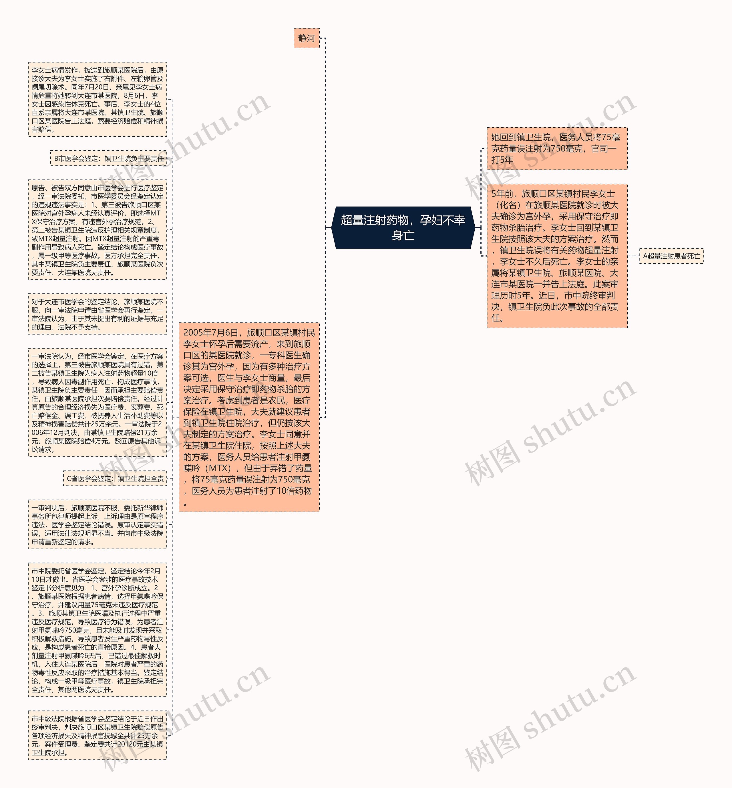 超量注射药物，孕妇不幸身亡思维导图
