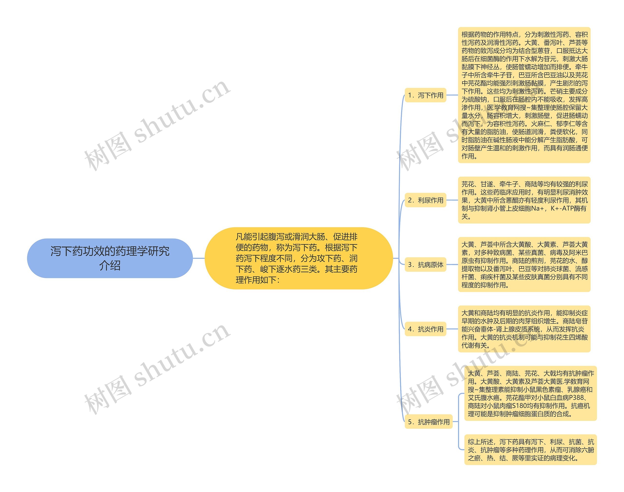 泻下药功效的药理学研究介绍思维导图