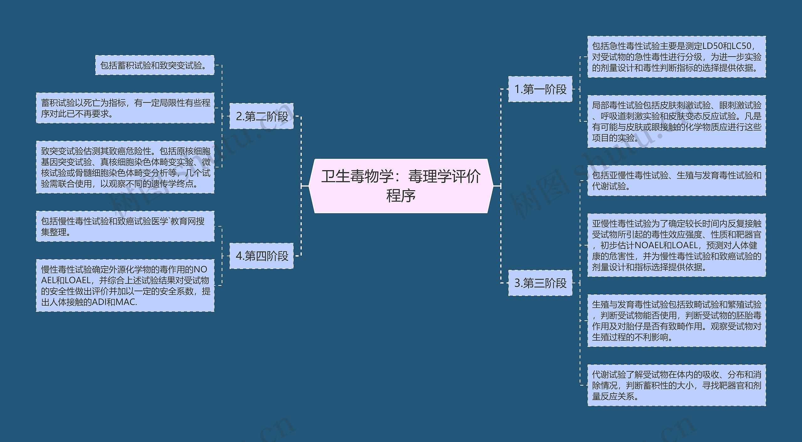 卫生毒物学：毒理学评价程序思维导图