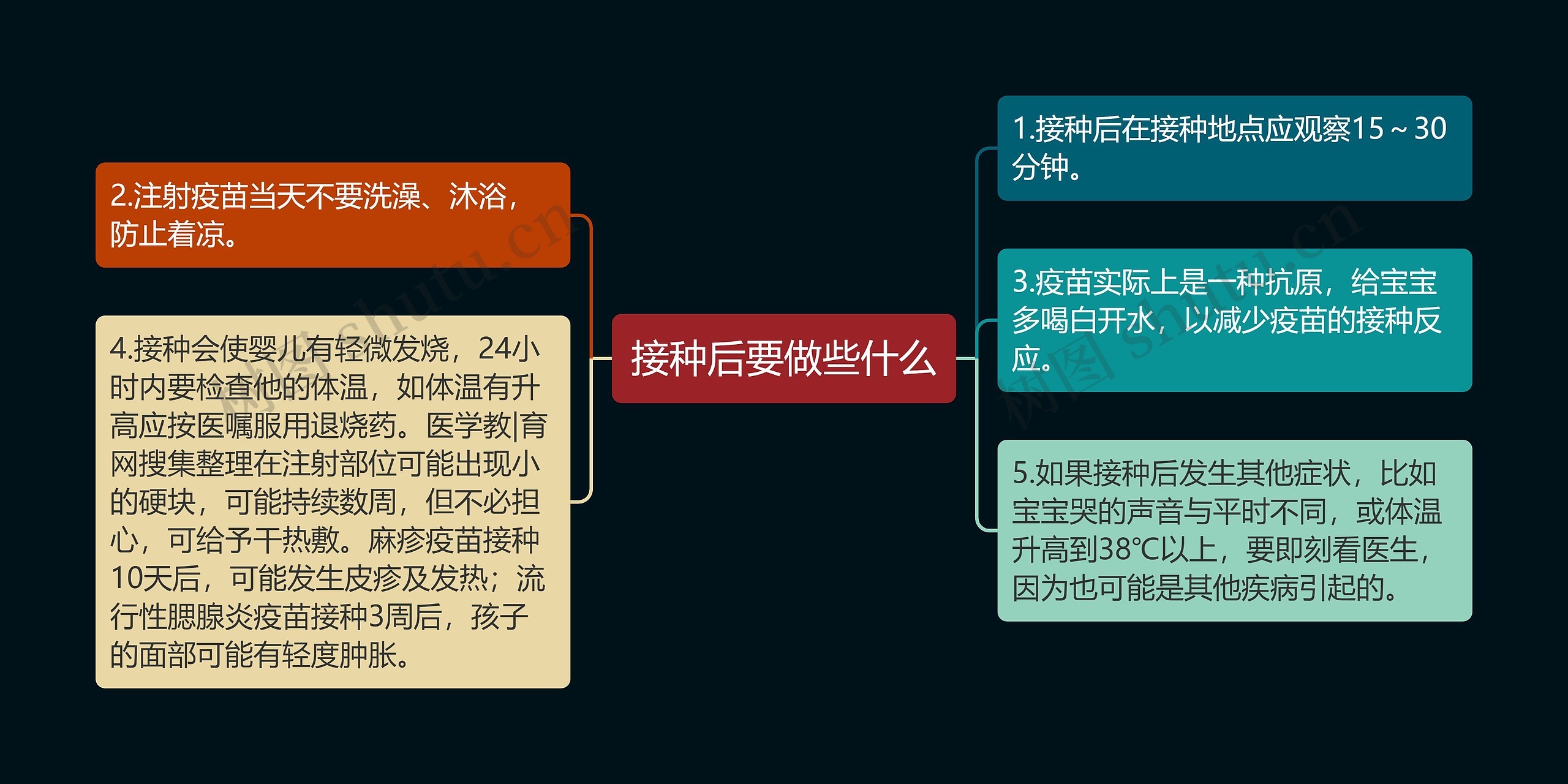 接种后要做些什么思维导图