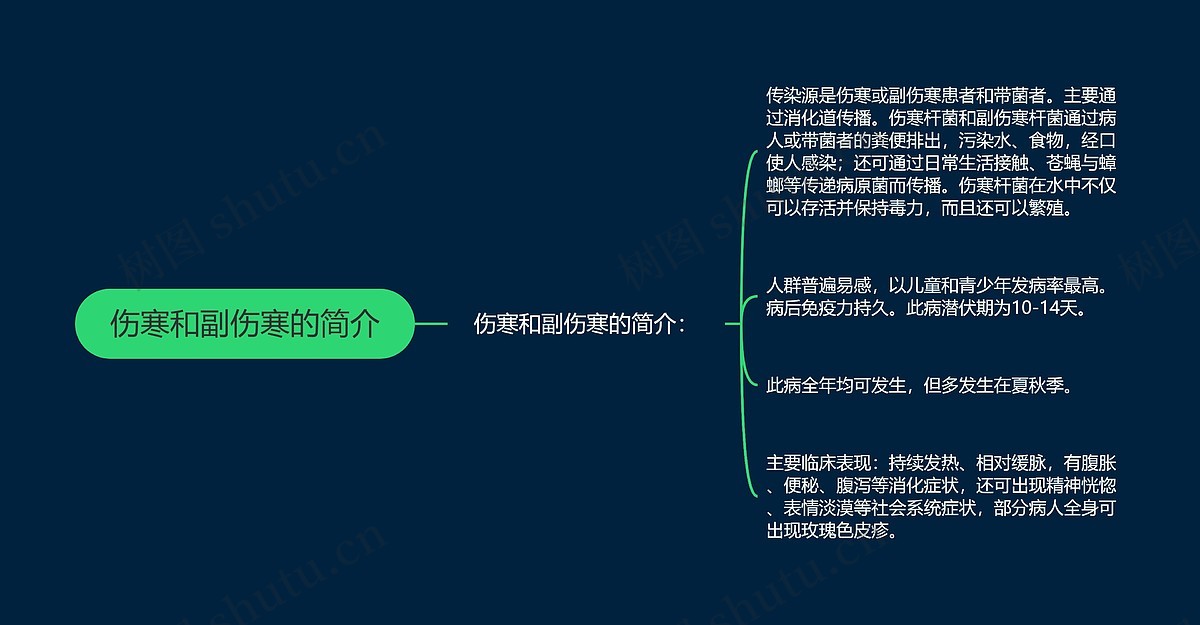伤寒和副伤寒的简介思维导图_编号p7226951-TreeMind树图