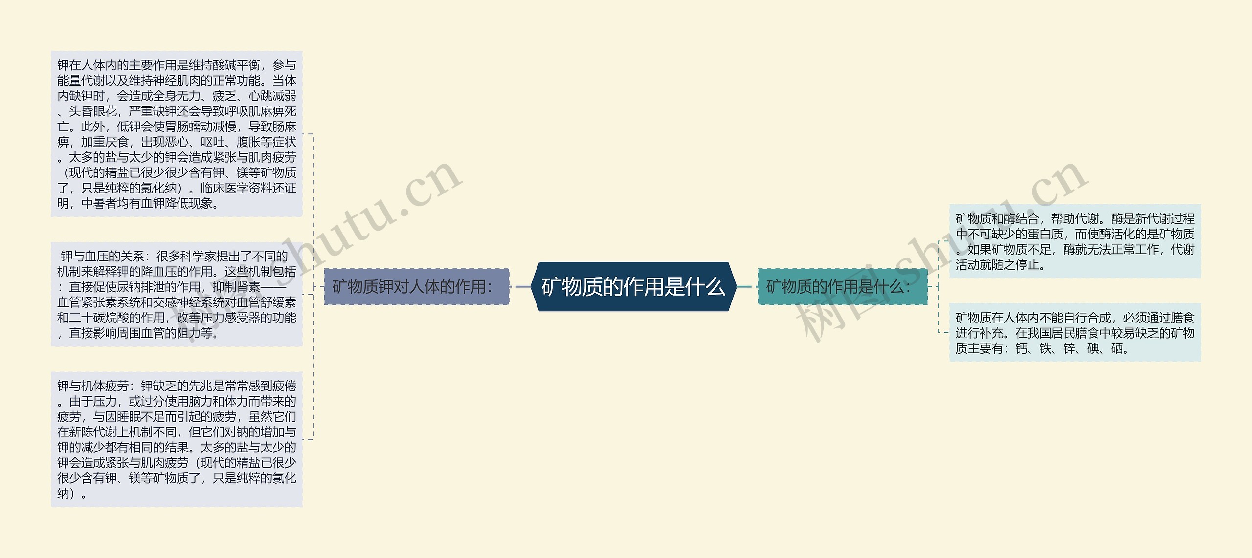 矿物质的作用是什么 矿物质的作用是什么