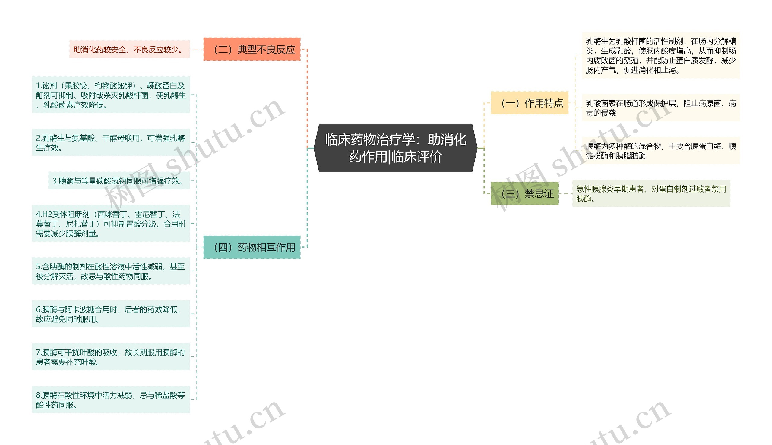 临床药物治疗学：助消化药作用|临床评价思维导图