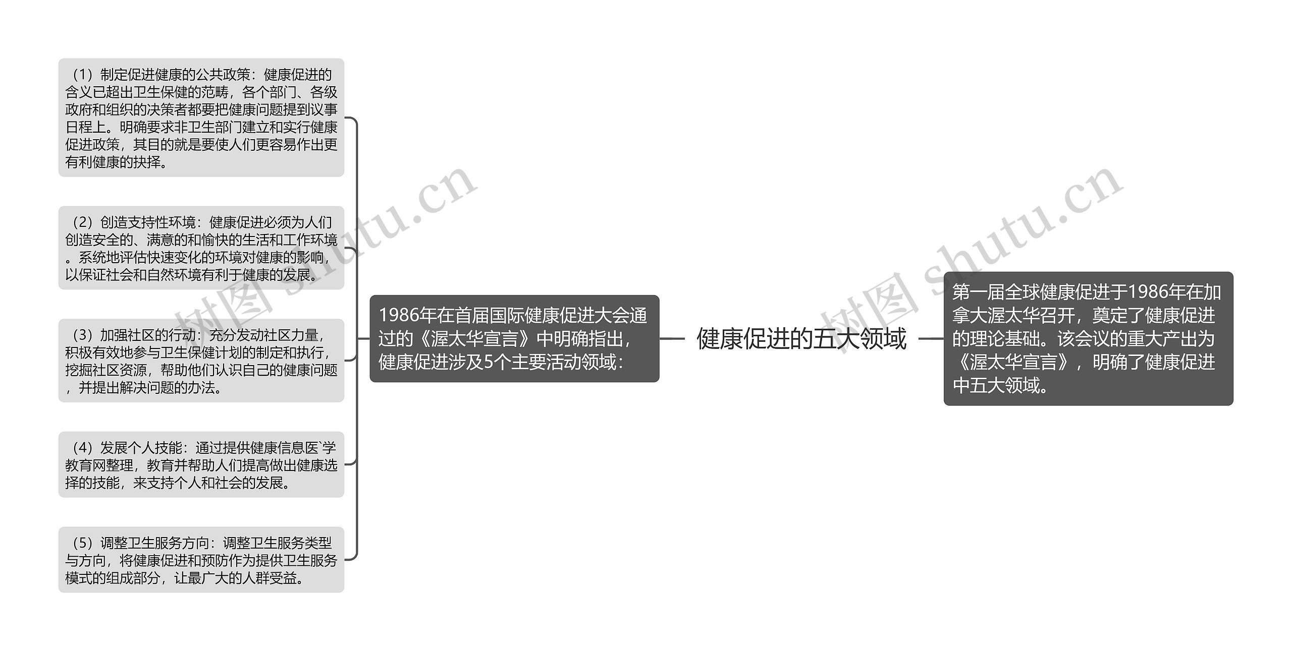 健康促进的五大领域