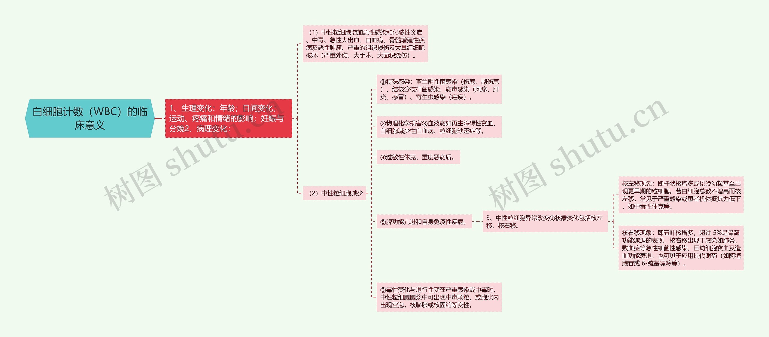 白细胞计数（WBC）的临床意义