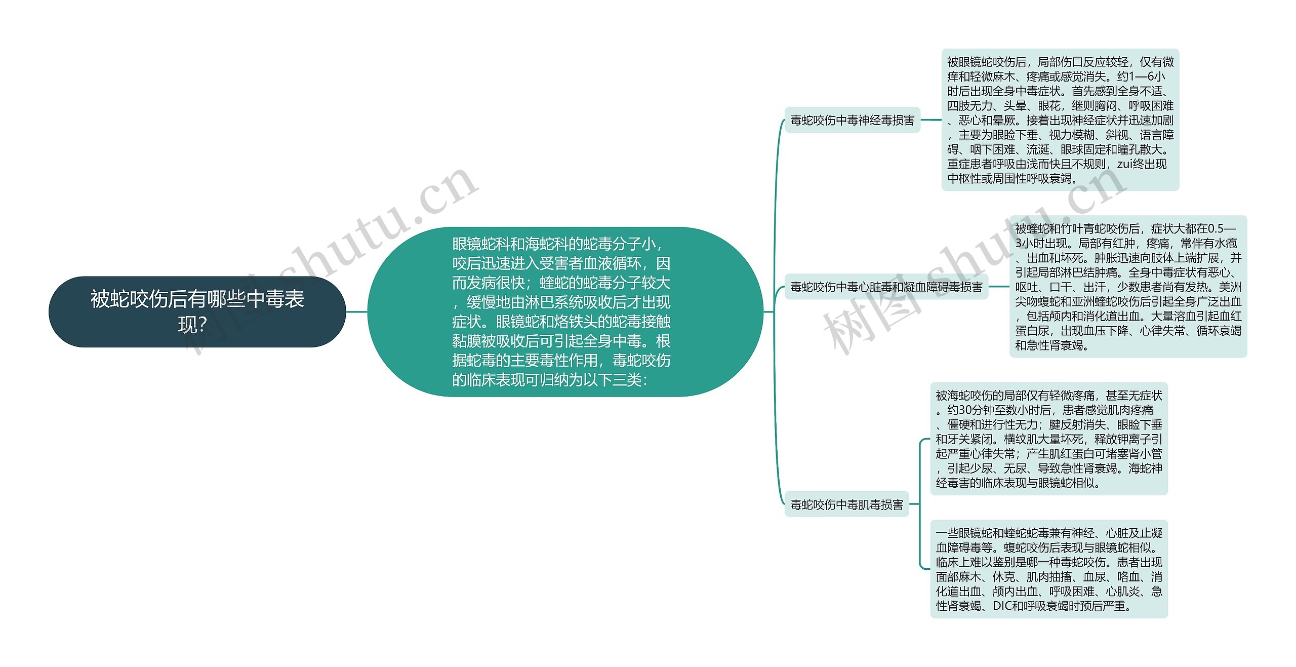 被蛇咬伤后有哪些中毒表现? 被蛇咬伤后有哪些中毒表现?