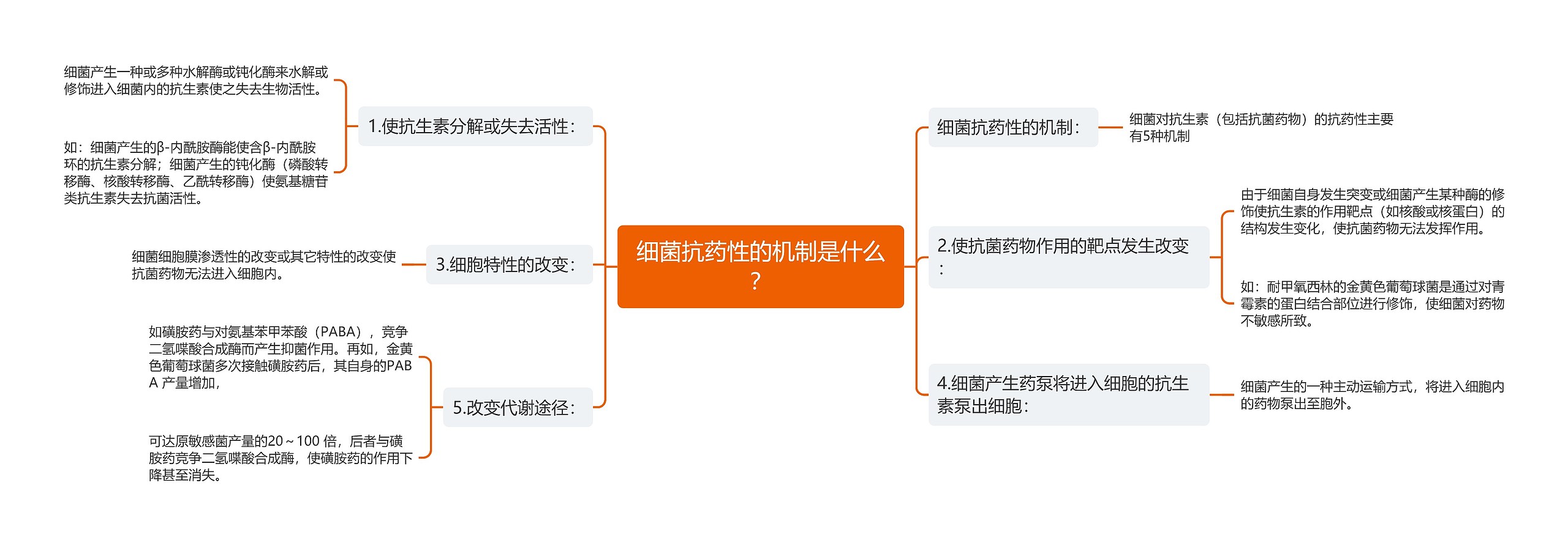 细菌抗药性的机制是什么？思维导图