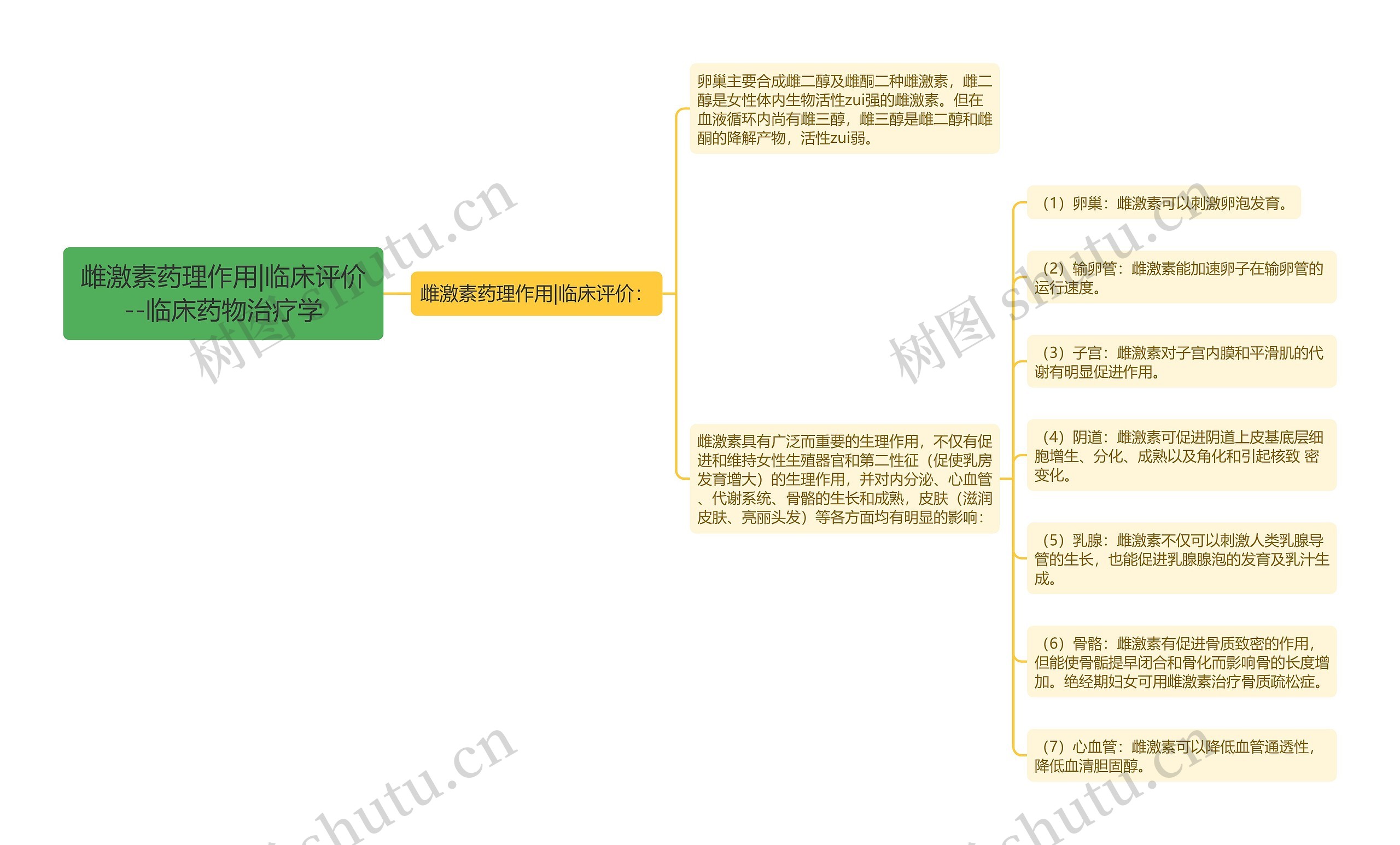 雌激素药理作用|临床评价--临床药物治疗学思维导图