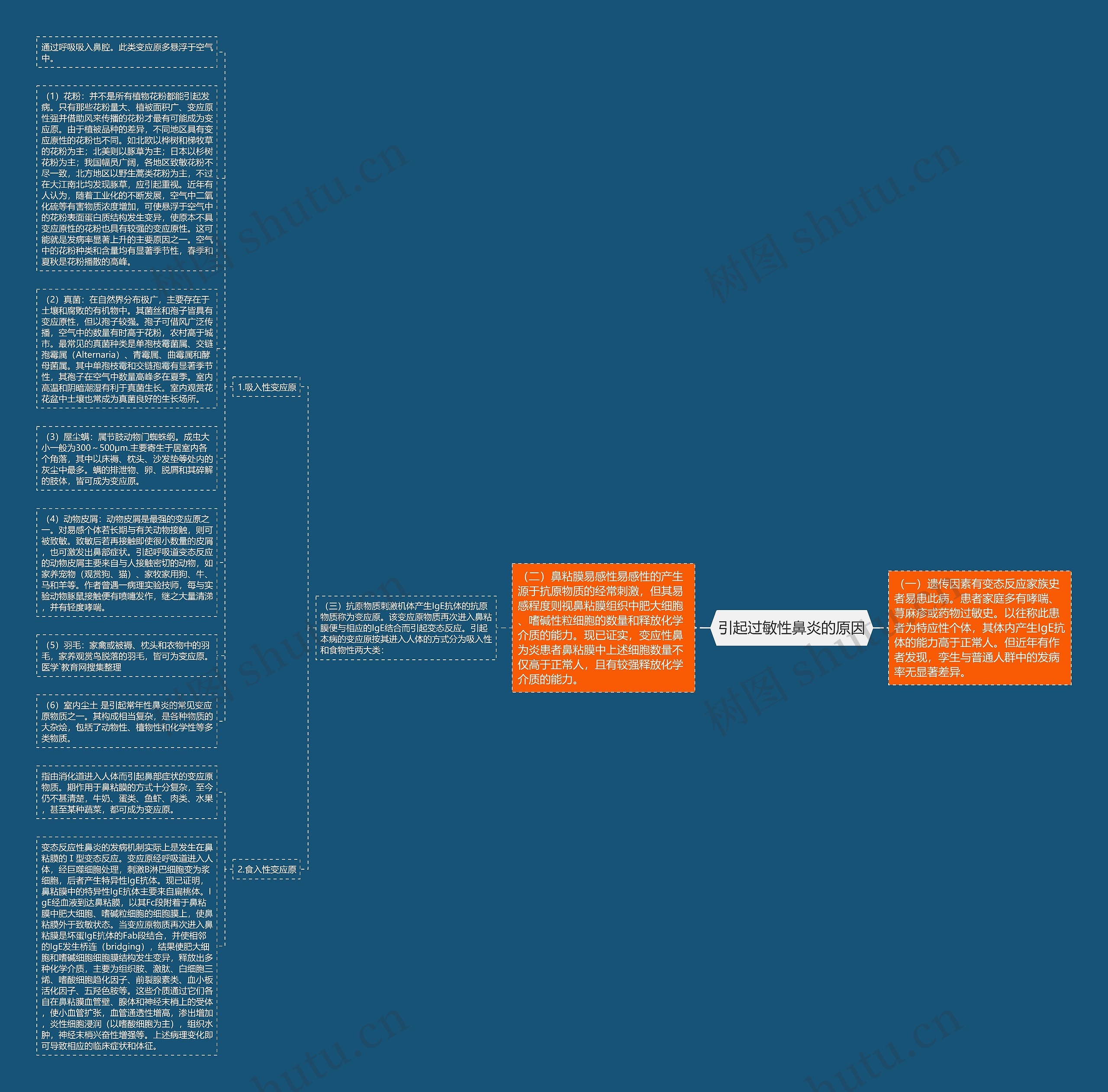 引起过敏性鼻炎的原因思维导图