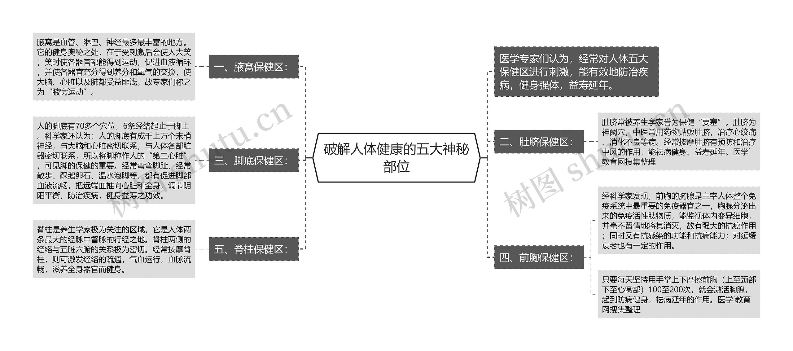 破解人体健康的五大神秘部位思维导图