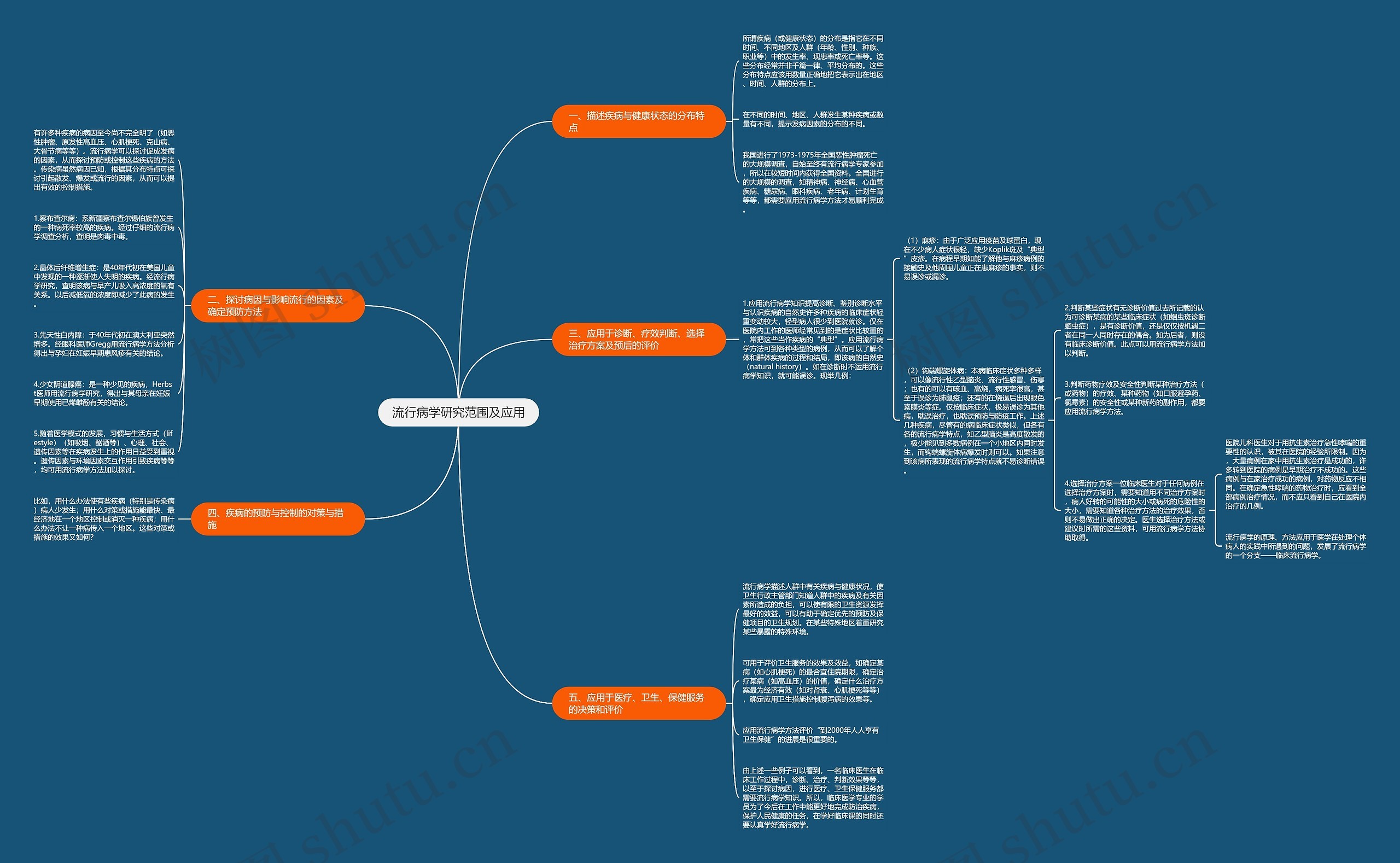 流行病学研究范围及应用思维导图