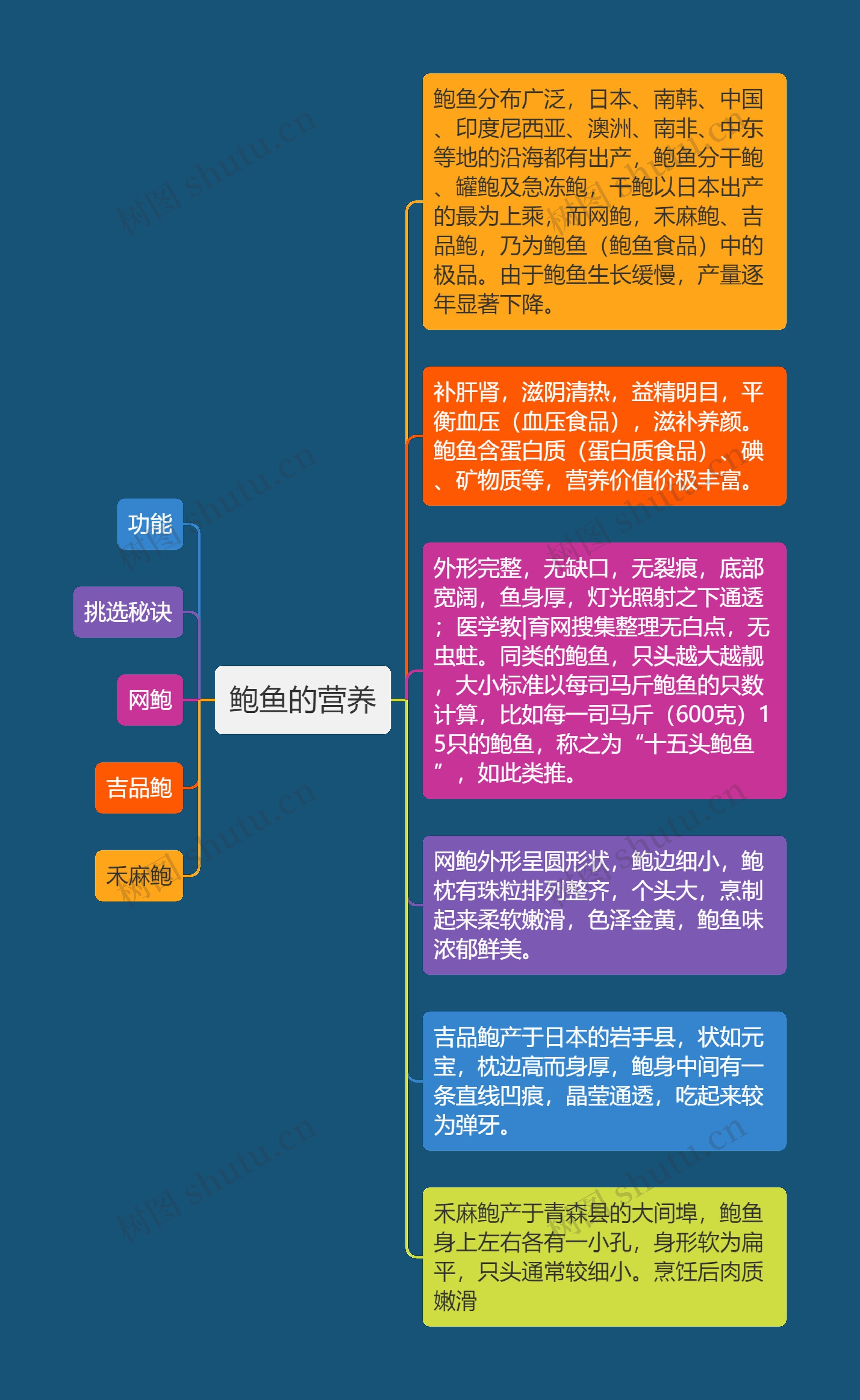 鲍鱼的营养思维导图