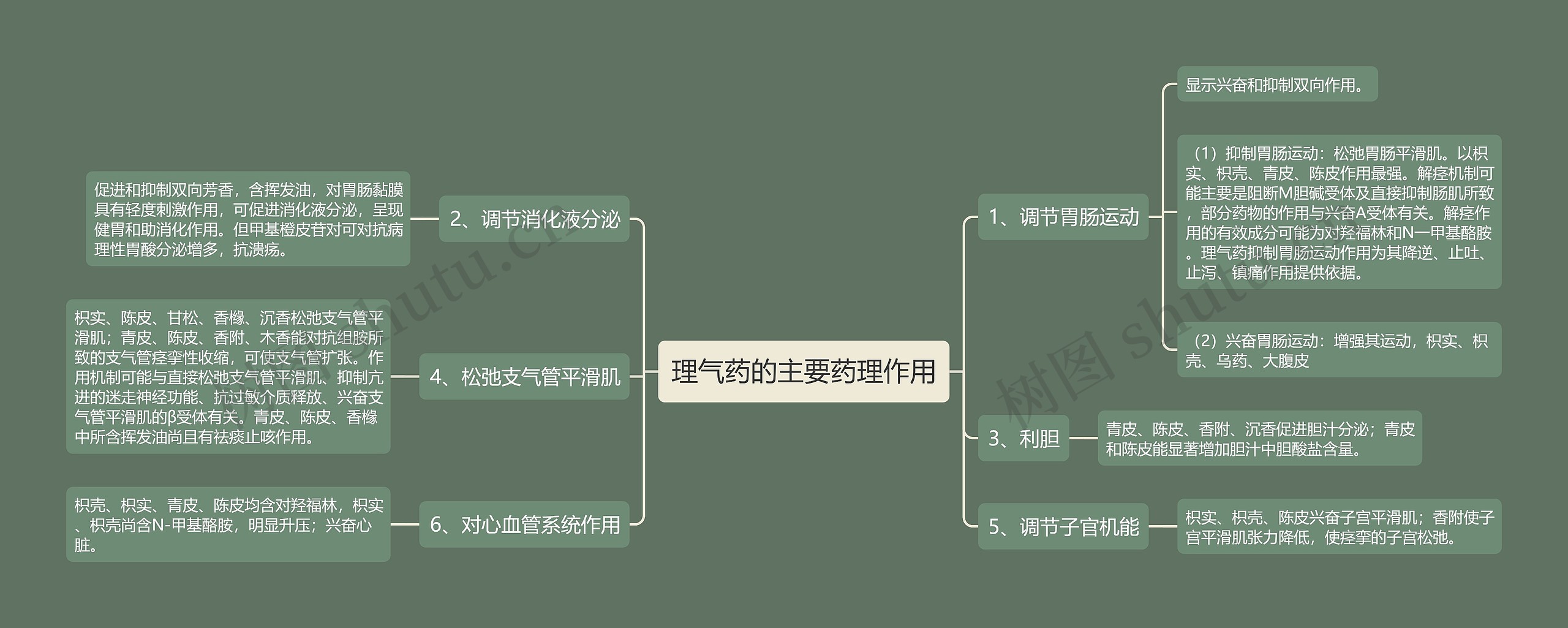 理气药的主要药理作用思维导图