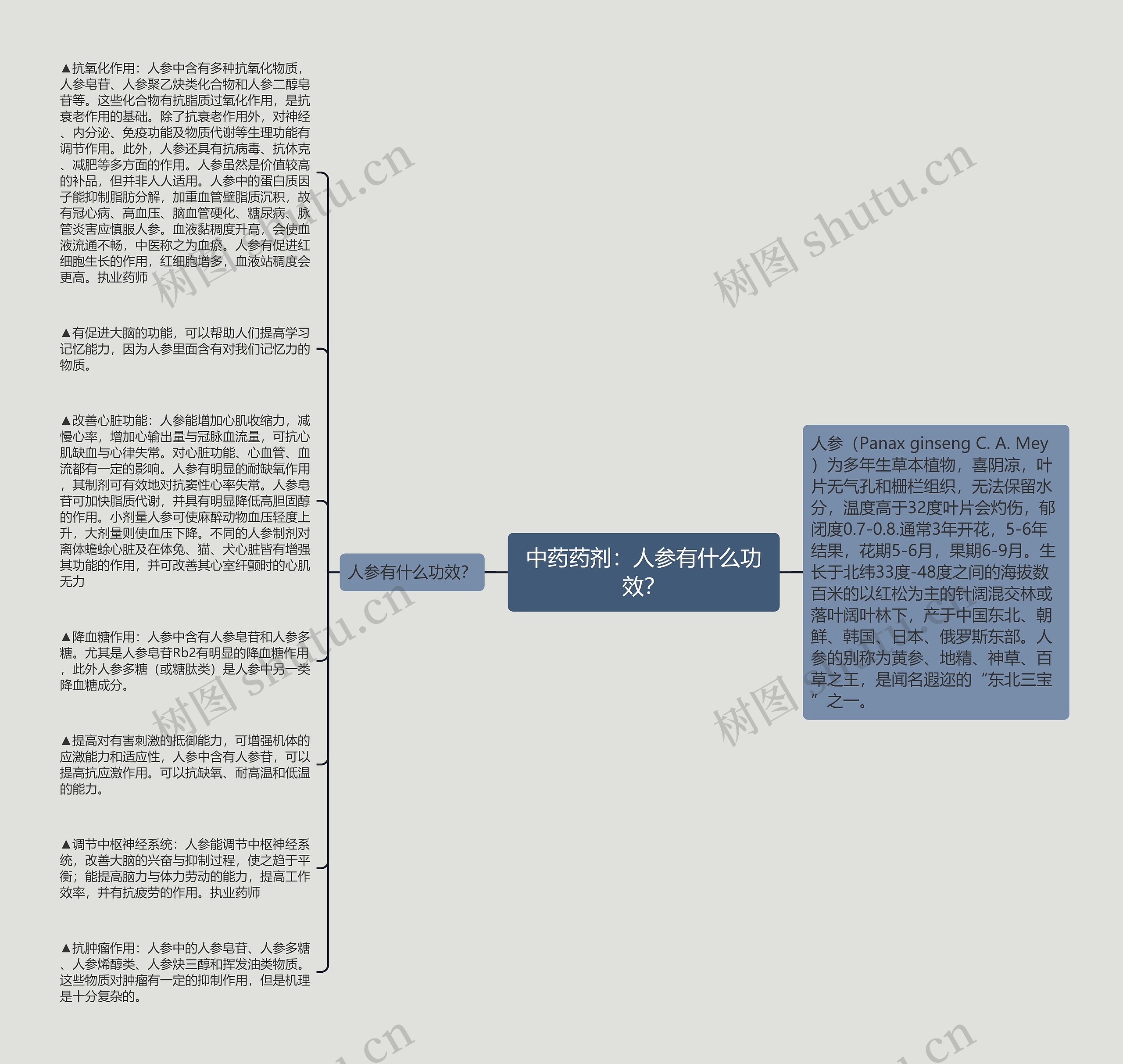 中药药剂：人参有什么功效？
