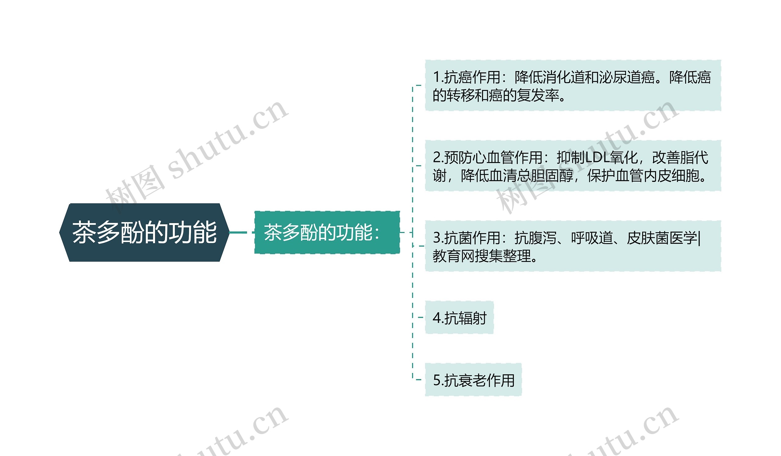 茶多酚的功能思维导图