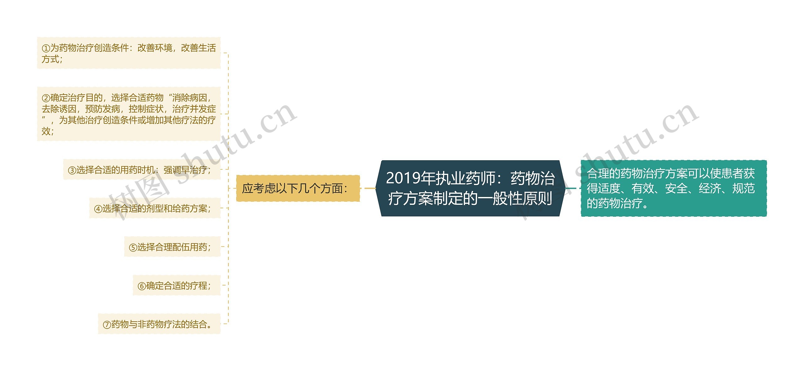 2019年执业药师：药物治疗方案制定的一般性原则思维导图