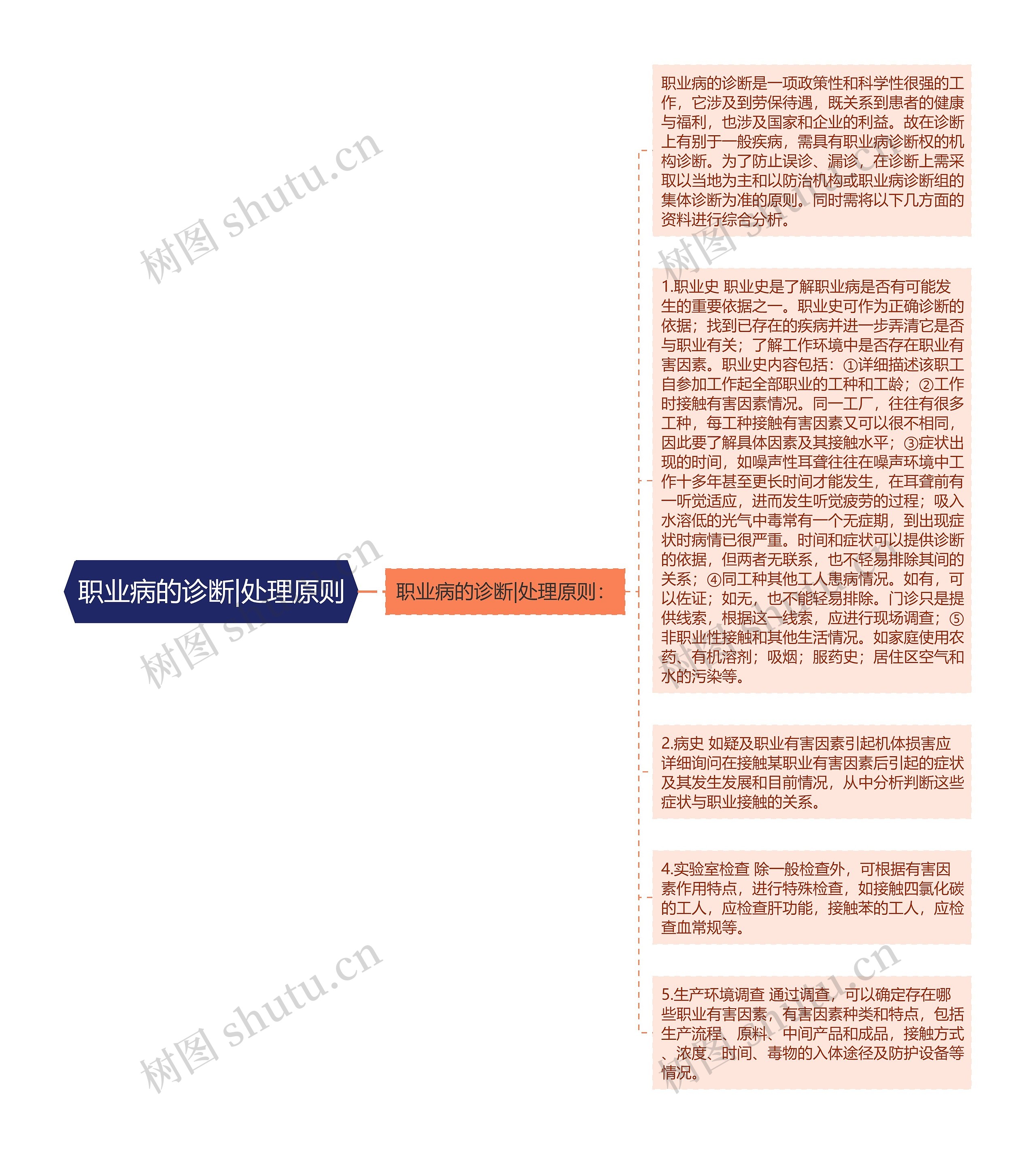 职业病的诊断|处理原则思维导图