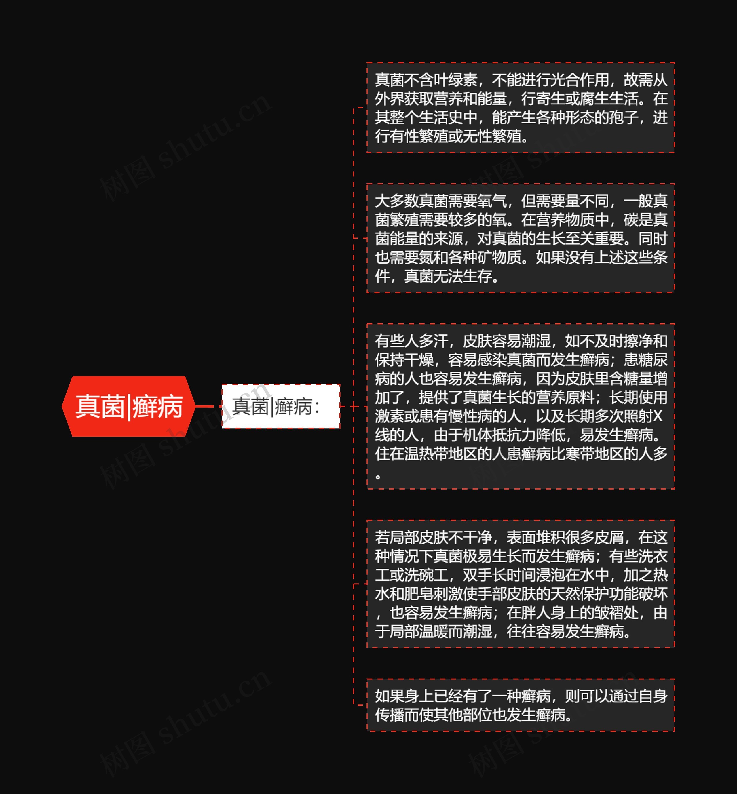 真菌|癣病 真菌|癣病