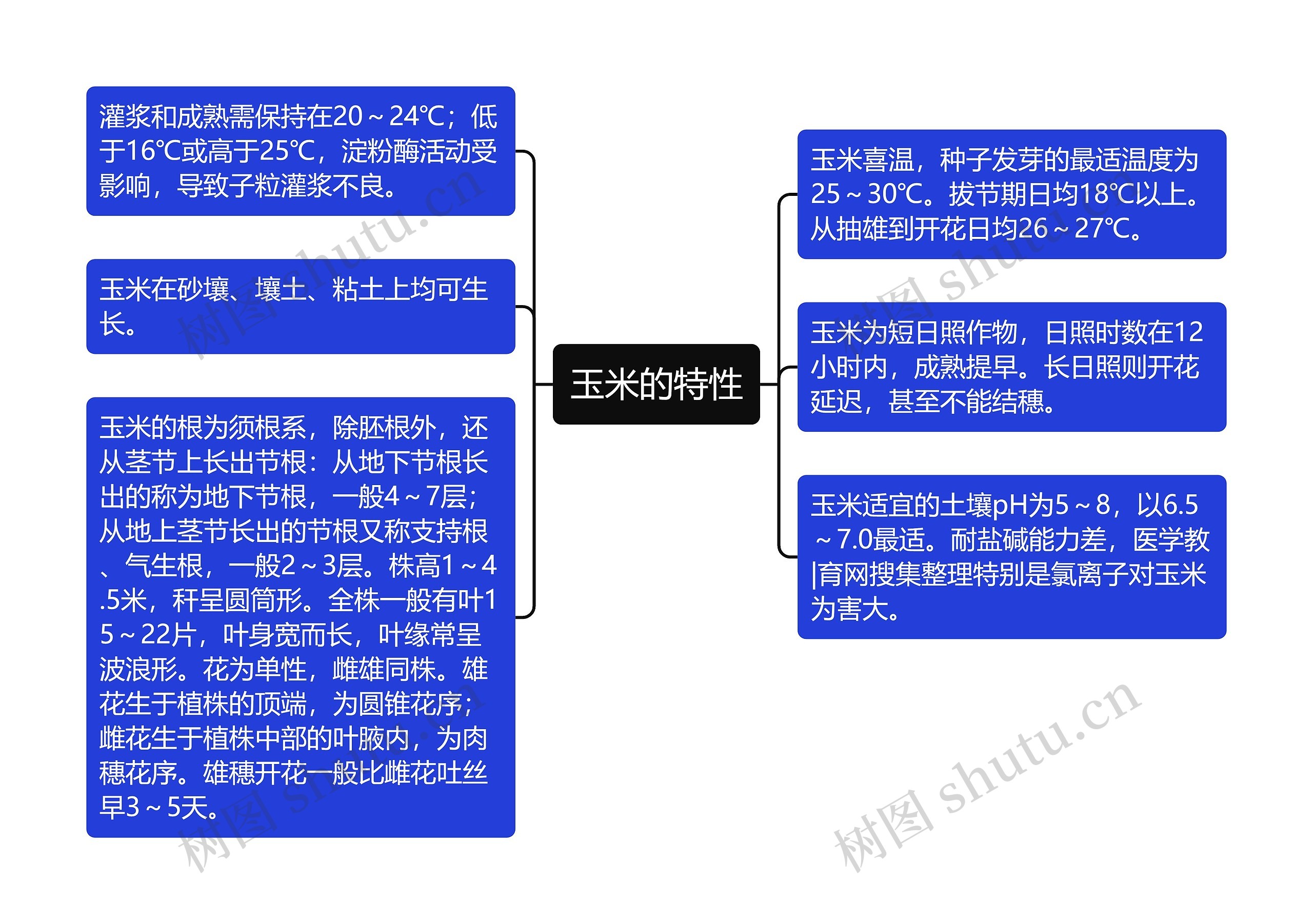 玉米的特性