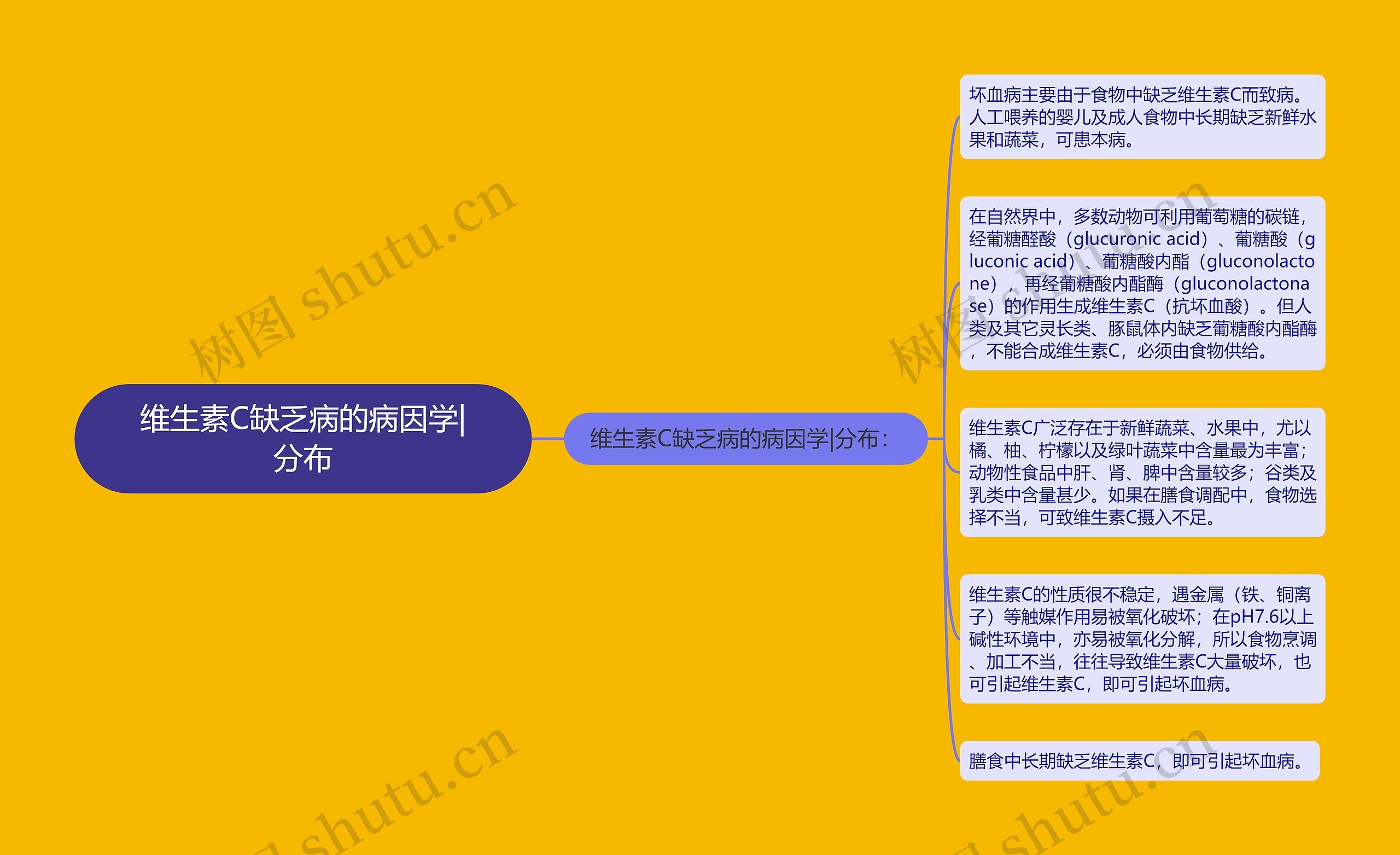 维生素C缺乏病的病因学|分布思维导图