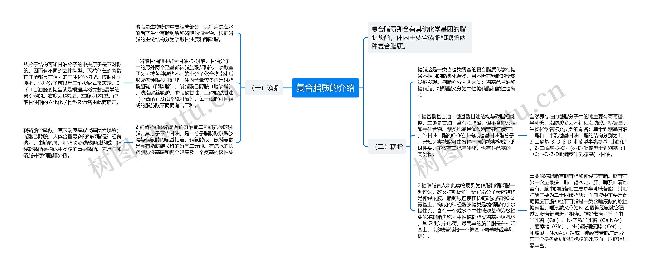 复合脂质的介绍思维导图