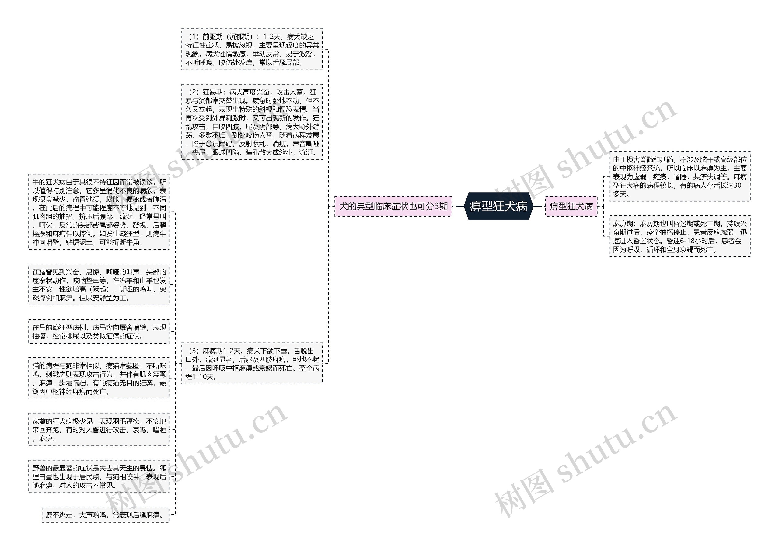 痹型狂犬病思维导图