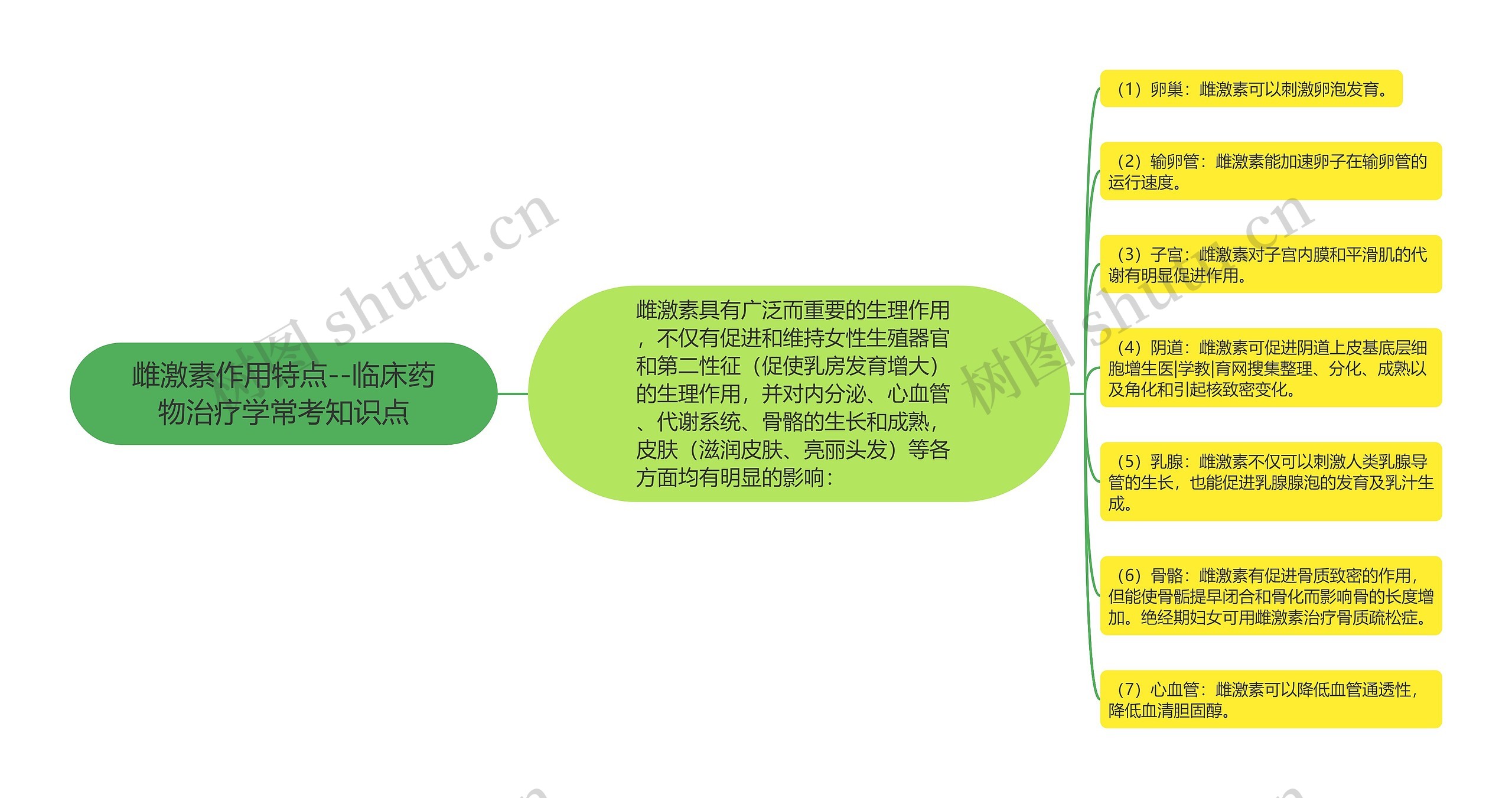 雌激素作用特点--临床药物治疗学常考知识点思维导图