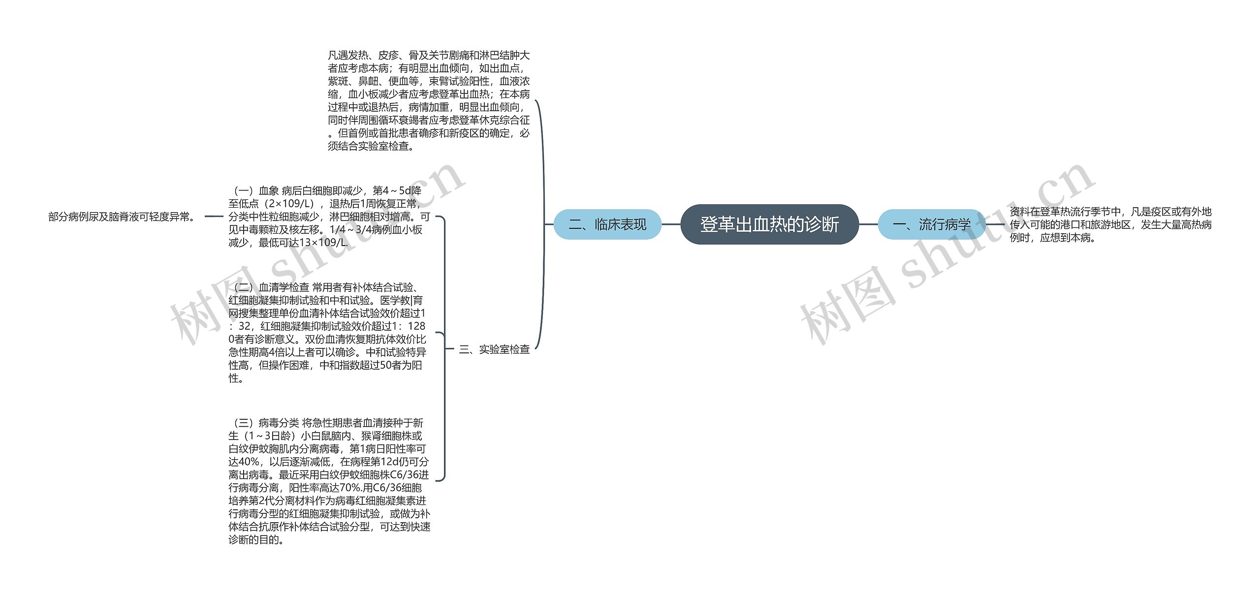 登革出血热的诊断思维导图