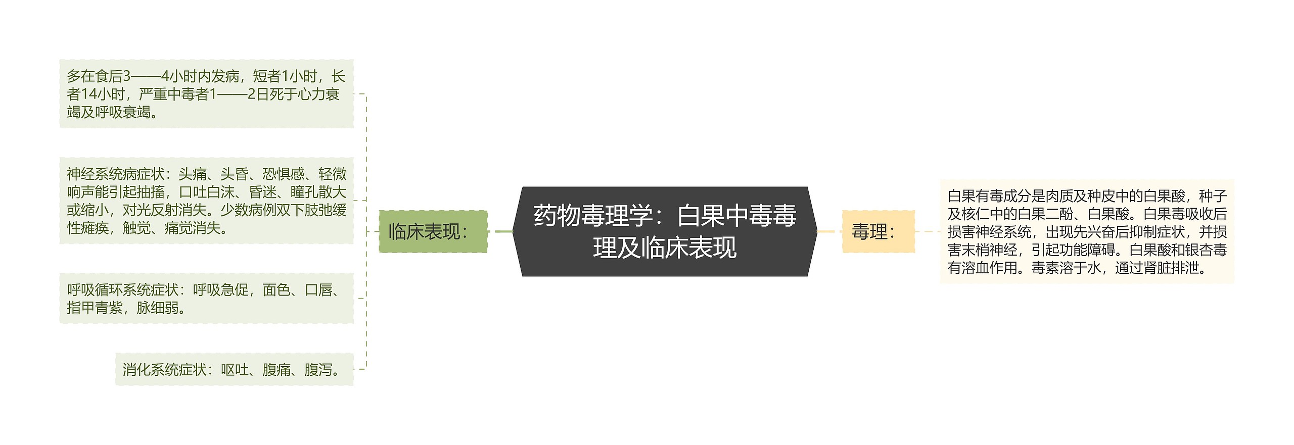 药物毒理学:白果中毒毒理及临床表现 药物毒理学:白果中毒毒理及临床表现