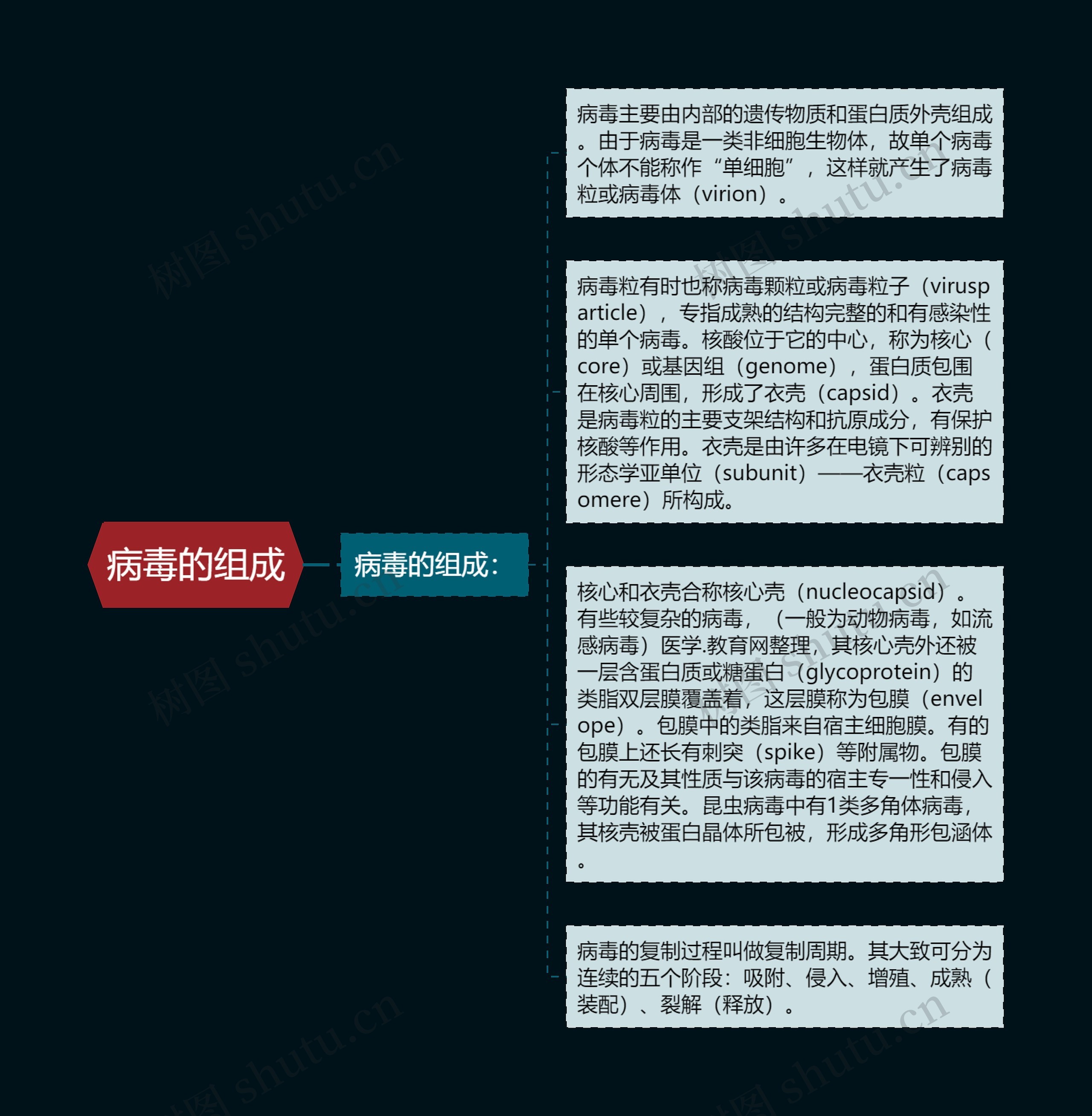 病毒的组成 病毒的组成