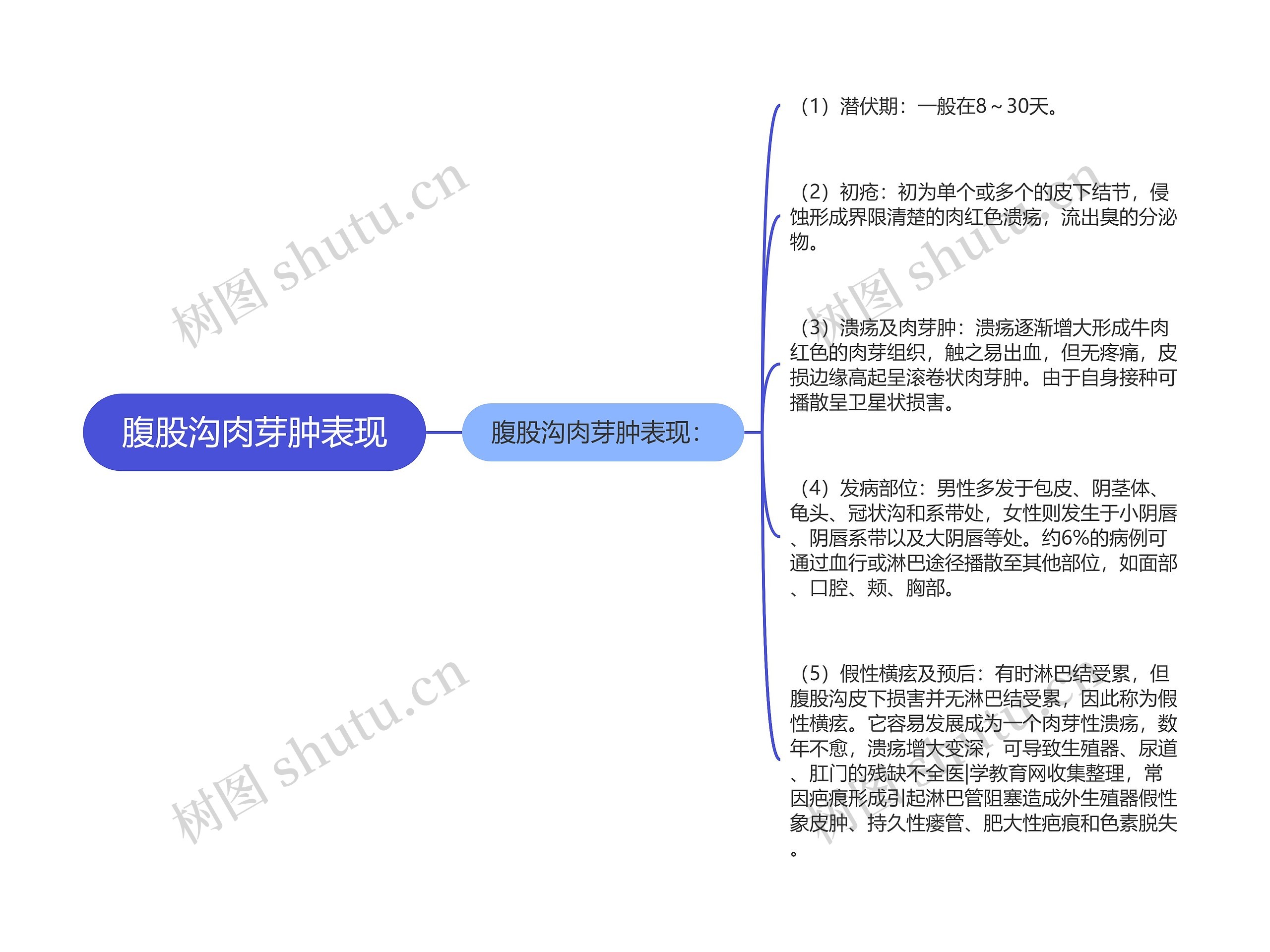 腹股沟肉芽肿表现思维导图