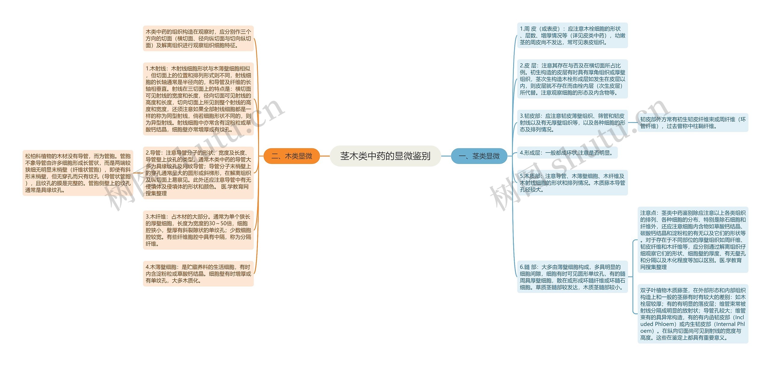 茎木类中药的显微鉴别